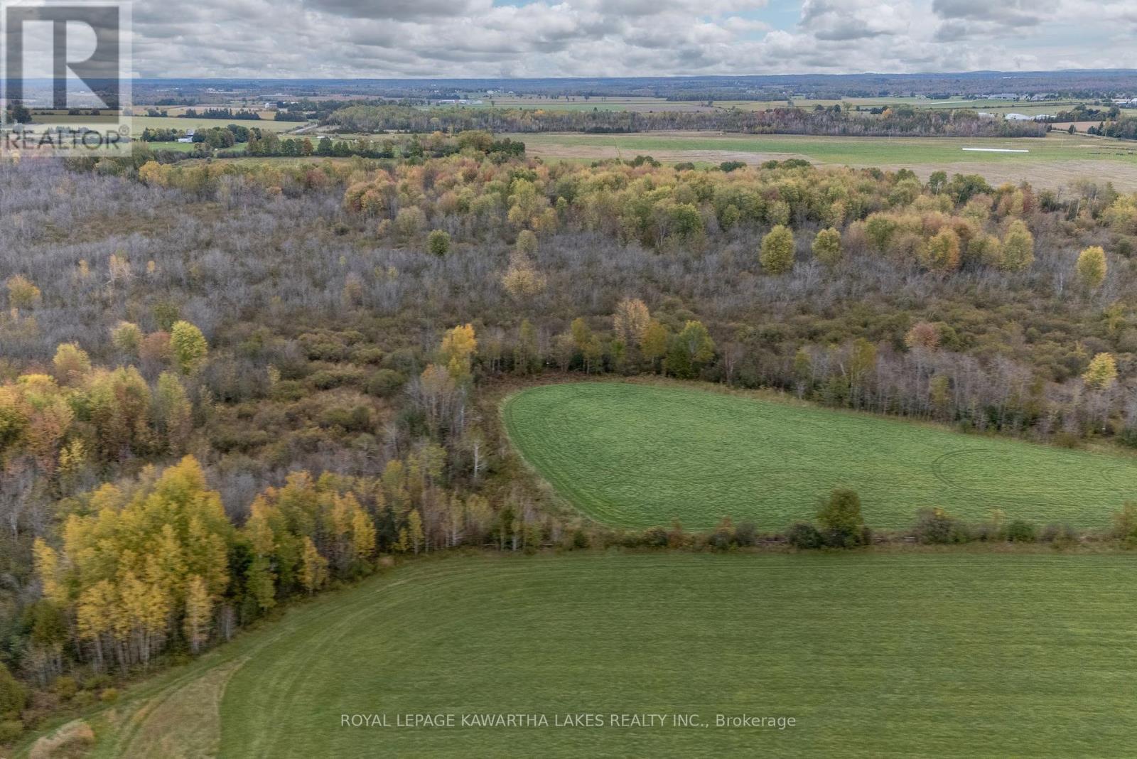 373 Cheese Factory Road, Kawartha Lakes (Ops), Ontario  K9V 4R3 - Photo 5 - X12002716