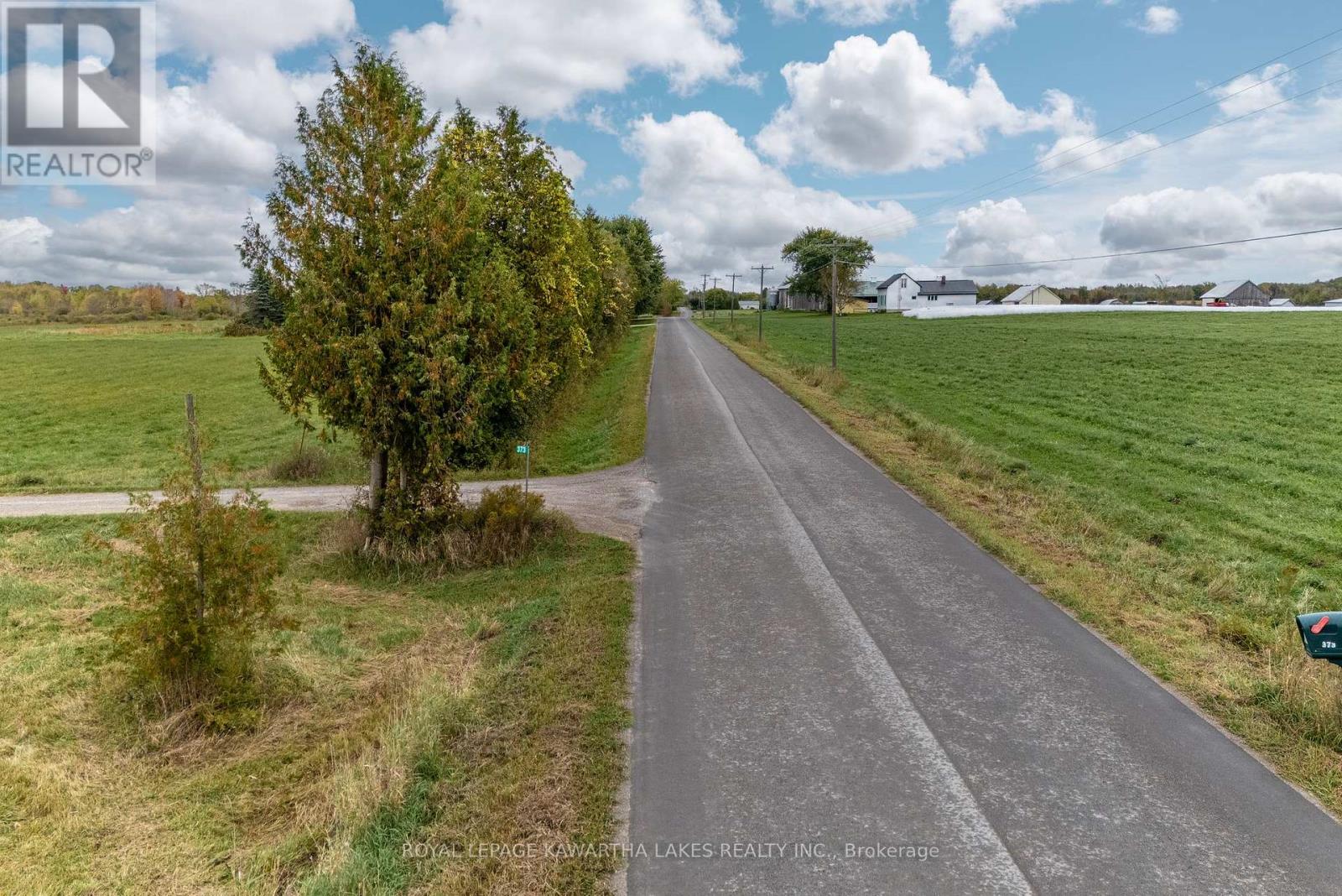 373 Cheese Factory Road, Kawartha Lakes (Ops), Ontario  K9V 4R3 - Photo 7 - X12002716