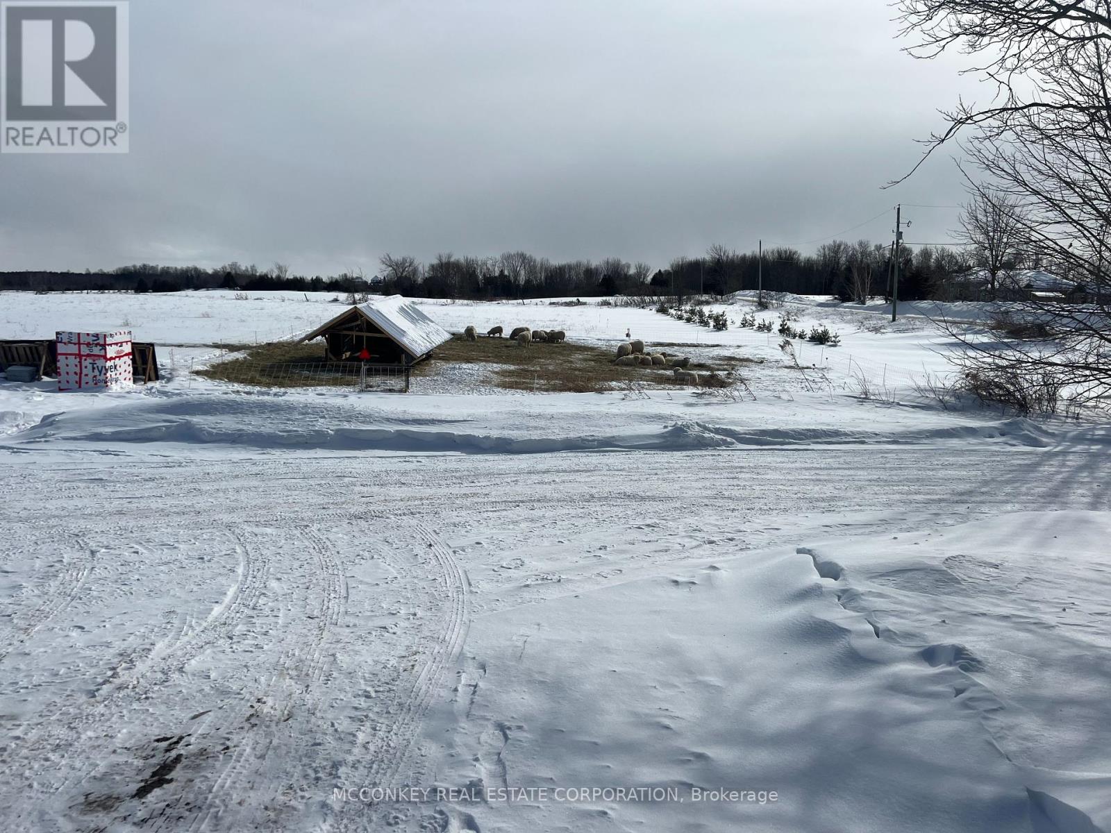2385 Northey's Road, Selwyn, Ontario  K0L 2H0 - Photo 49 - X12004030