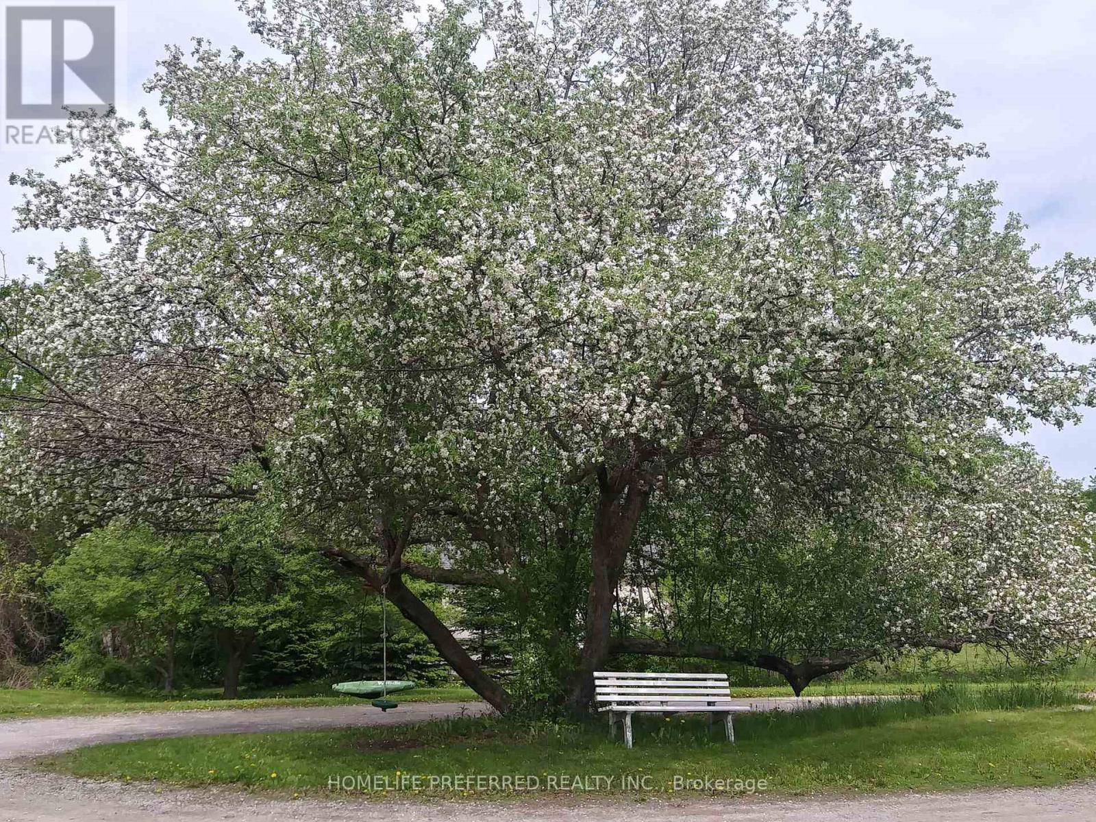 1966 Darling Crescent, Cavan Monaghan (Cavan Twp), Ontario  L0A 1C0 - Photo 41 - X12007386