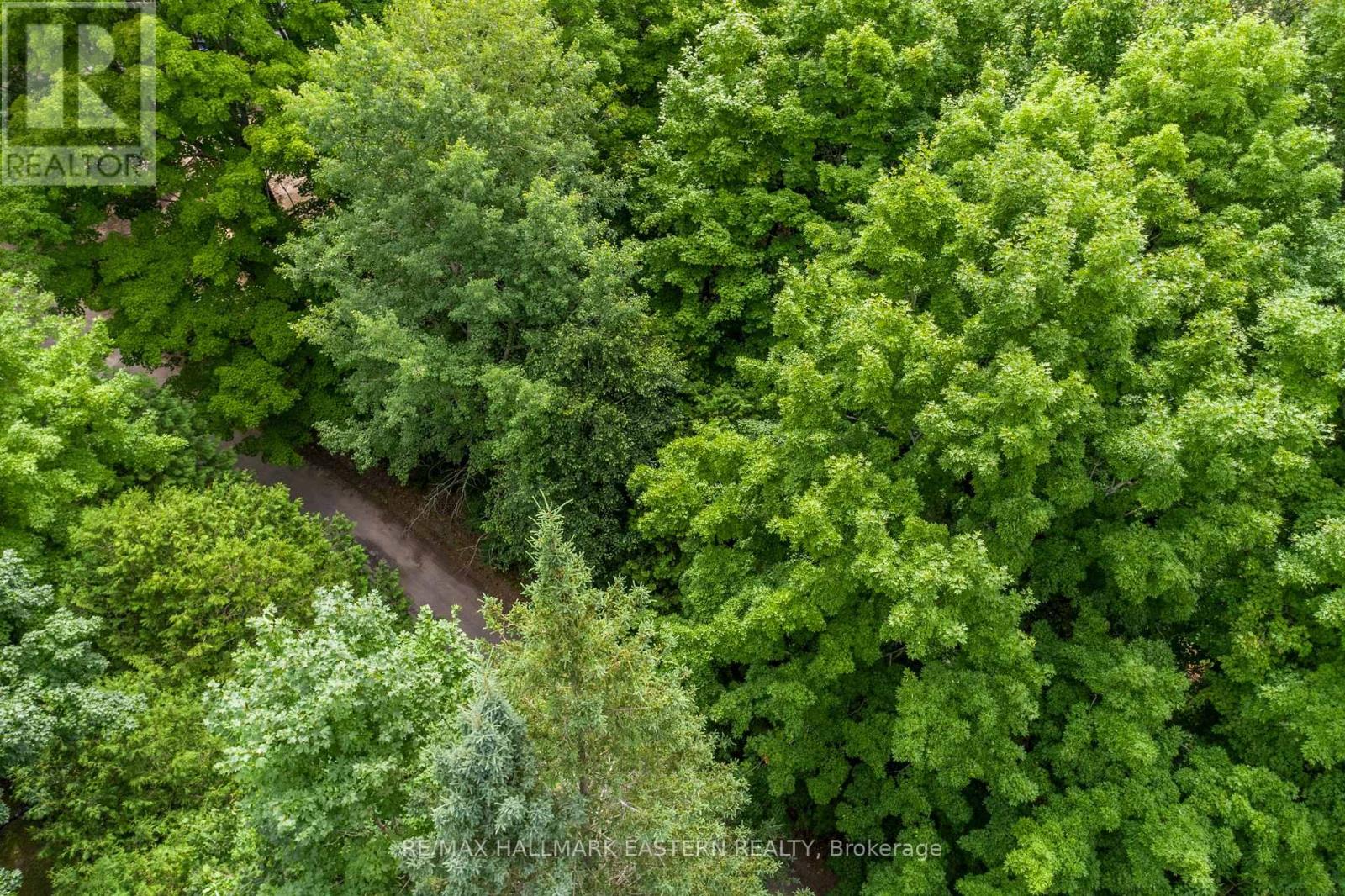 0 Teds Lane, Trent Lakes, Ontario  K0L 1J0 - Photo 10 - X12008415
