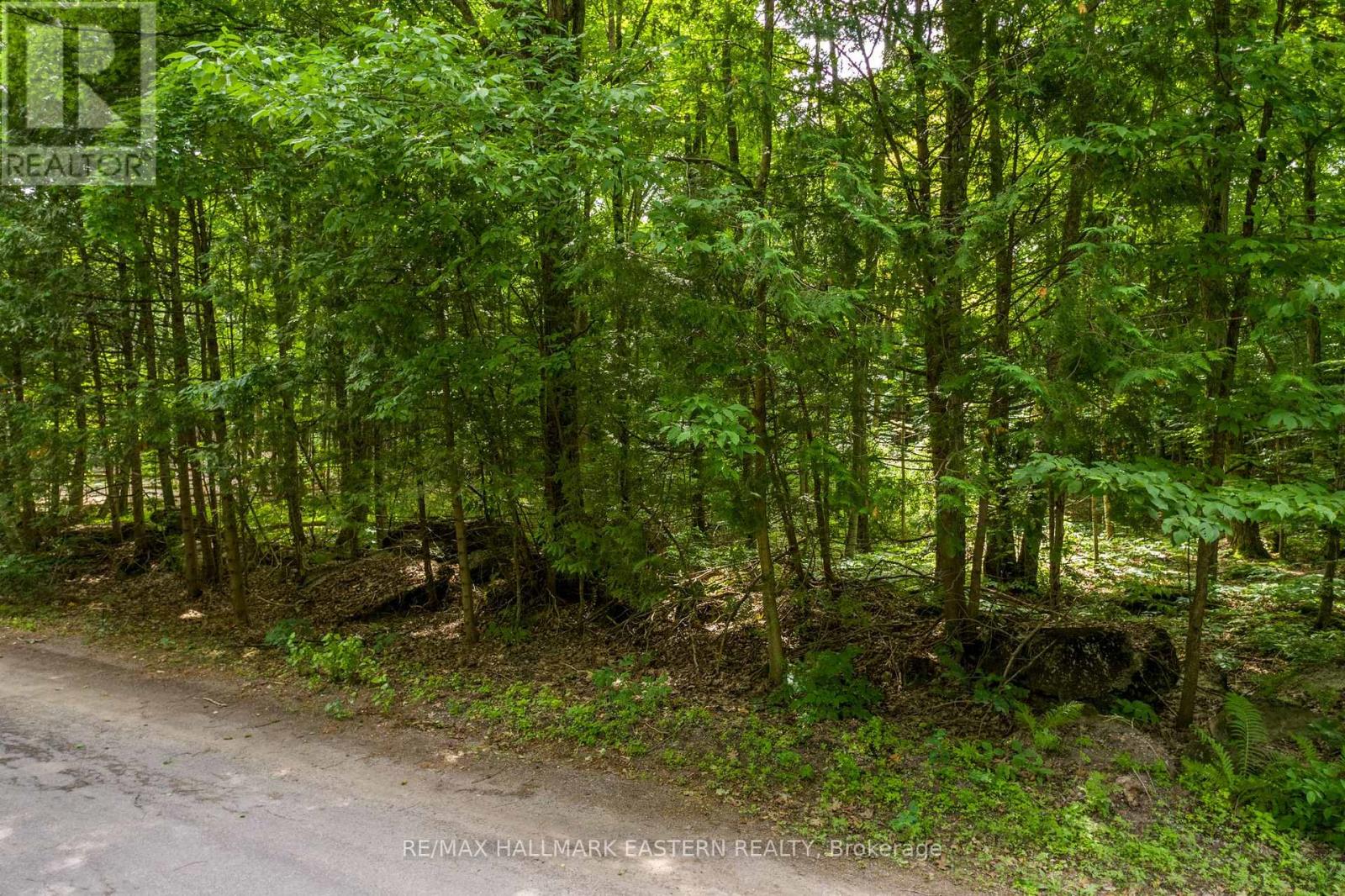 0 Teds Lane, Trent Lakes, Ontario  K0L 1J0 - Photo 11 - X12008415