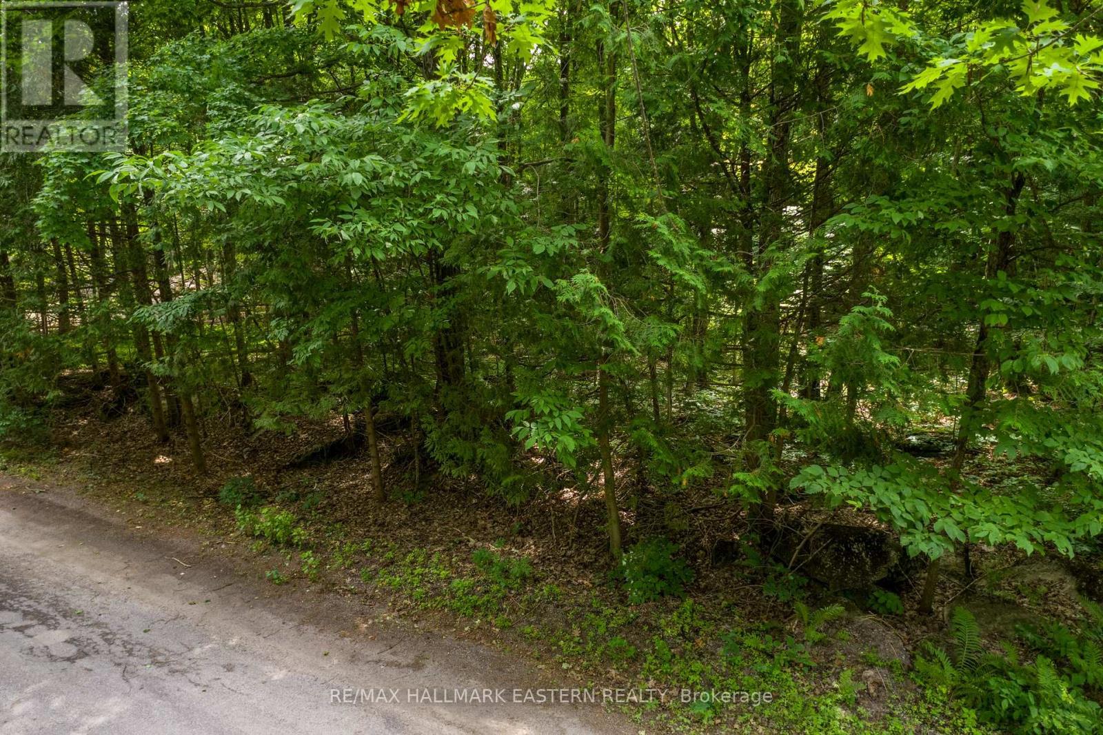 0 Teds Lane, Trent Lakes, Ontario  K0L 1J0 - Photo 12 - X12008415