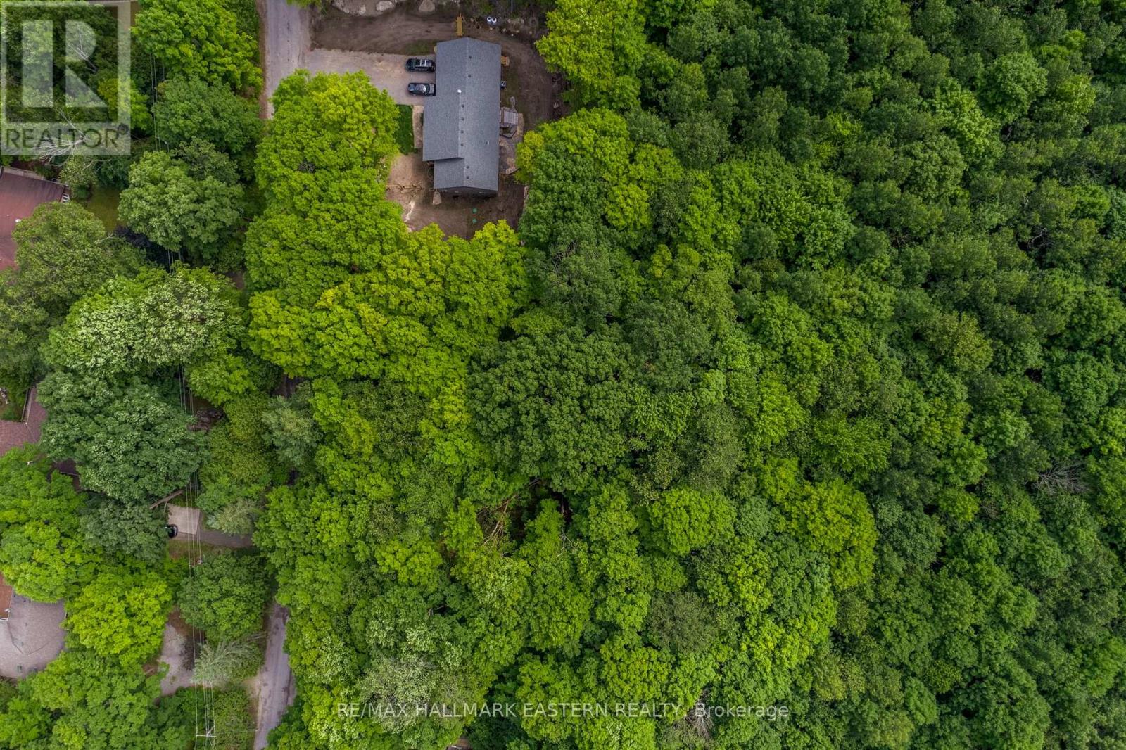 0 Teds Lane, Trent Lakes, Ontario  K0L 1J0 - Photo 14 - X12008415