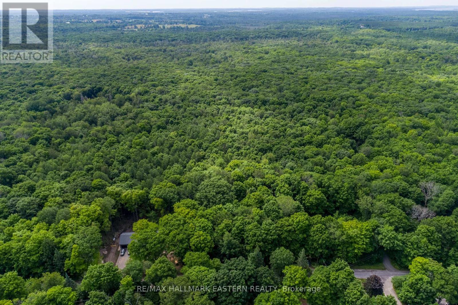 0 Teds Lane, Trent Lakes, Ontario  K0L 1J0 - Photo 15 - X12008415