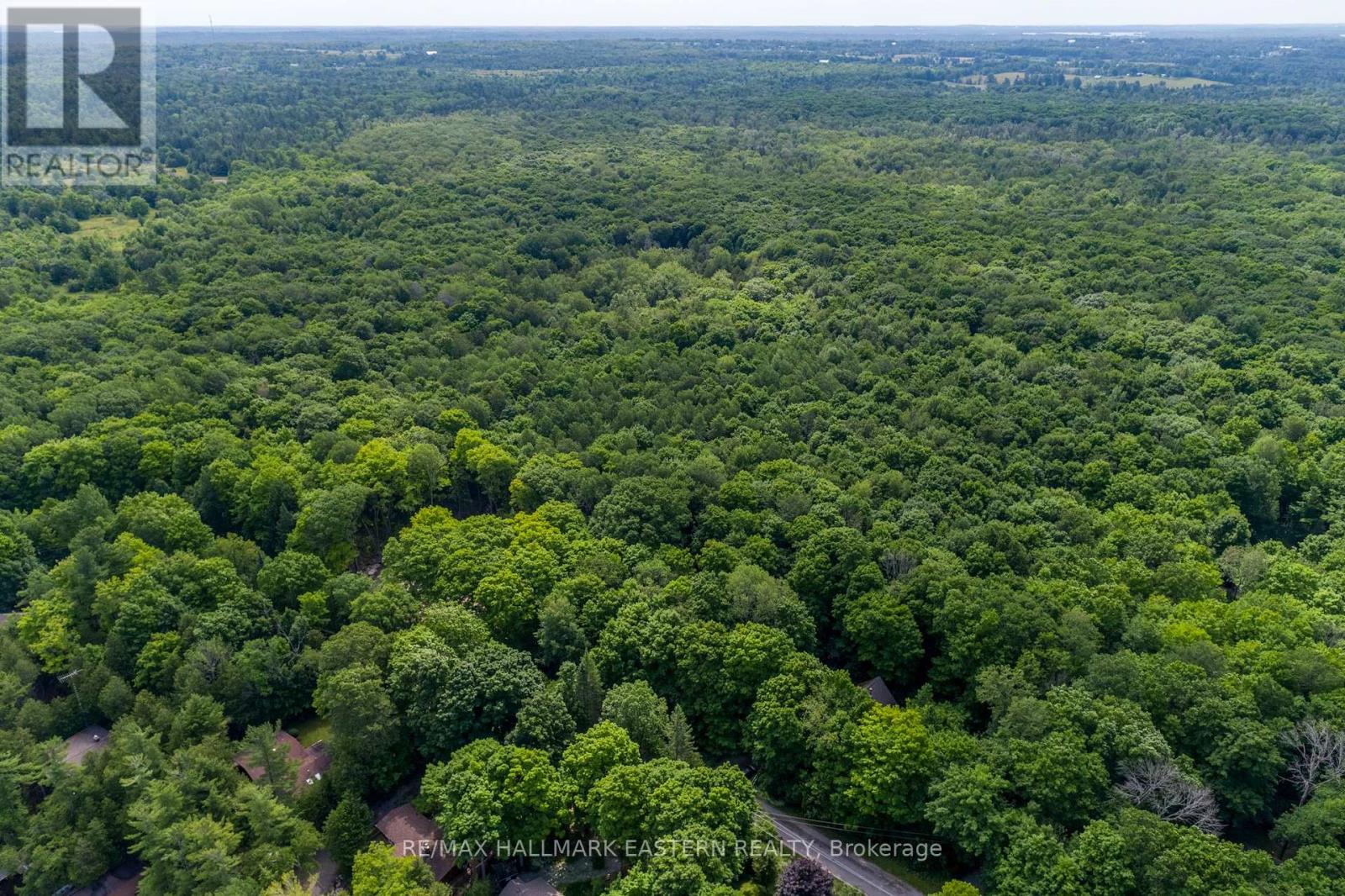 0 Teds Lane, Trent Lakes, Ontario  K0L 1J0 - Photo 16 - X12008415