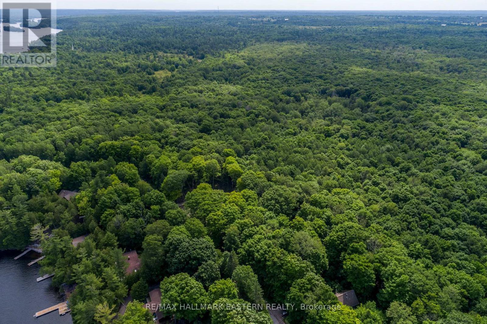 0 Teds Lane, Trent Lakes, Ontario  K0L 1J0 - Photo 17 - X12008415