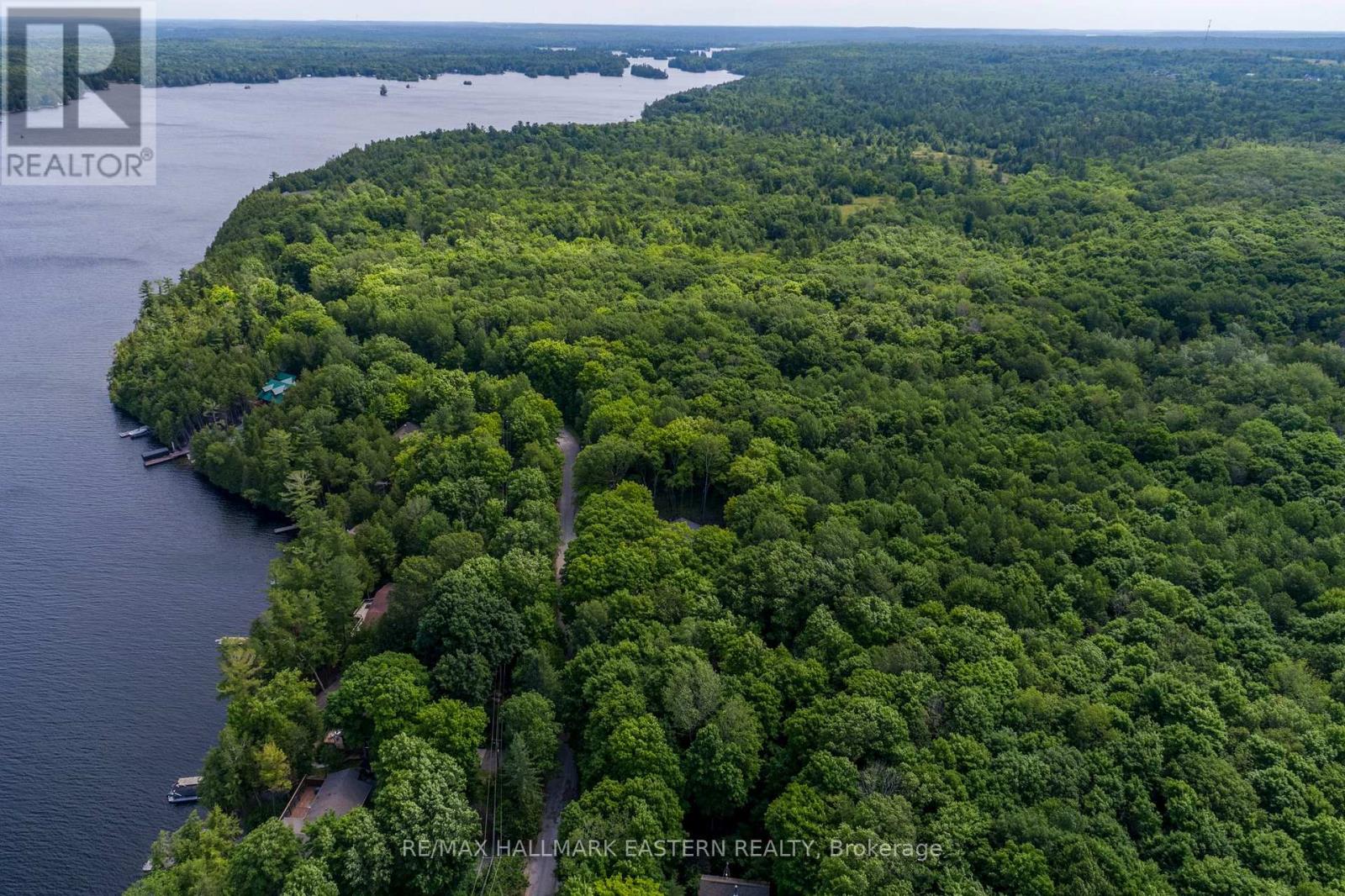 0 Teds Lane, Trent Lakes, Ontario  K0L 1J0 - Photo 18 - X12008415