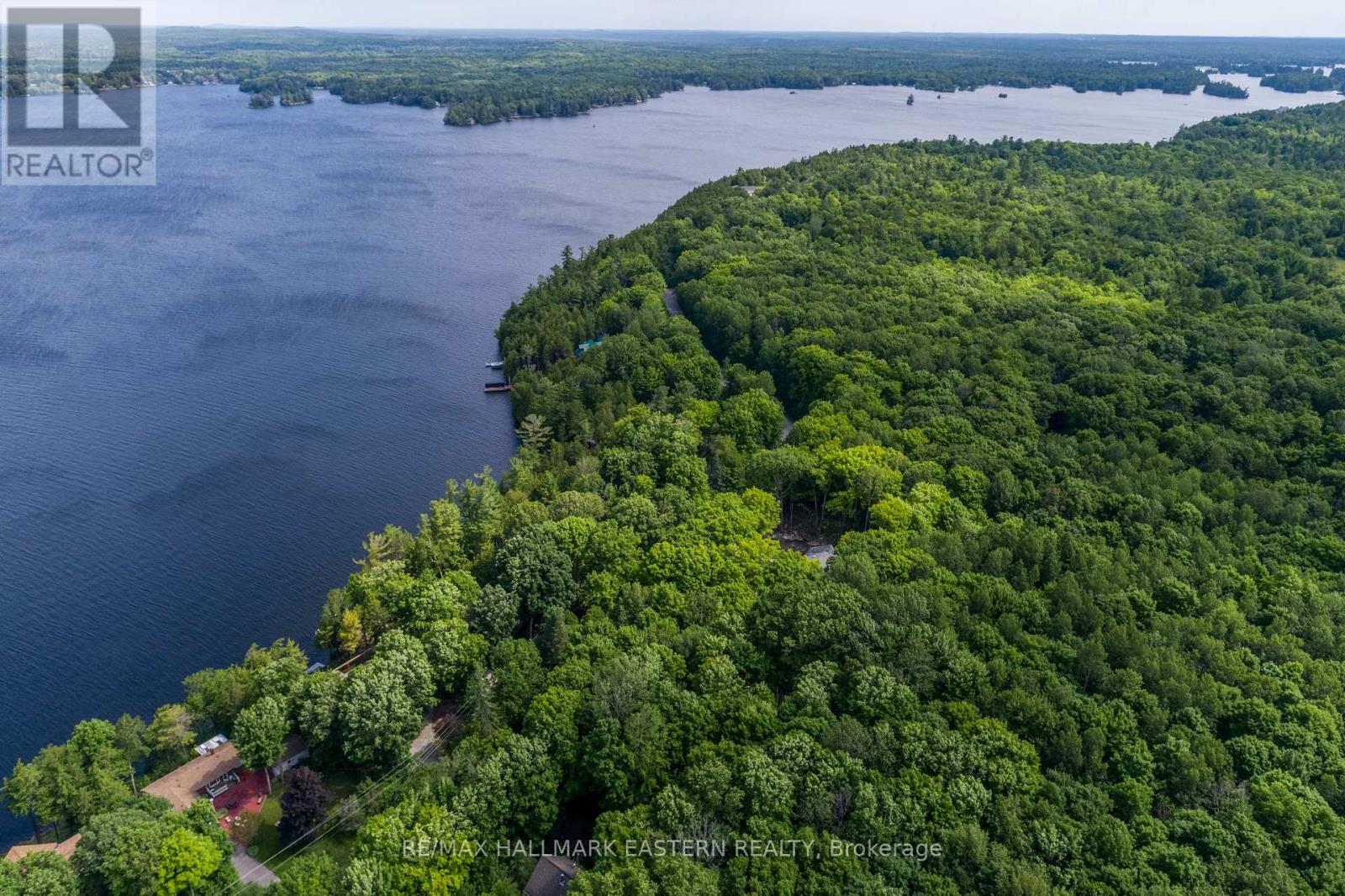 0 Teds Lane, Trent Lakes, Ontario  K0L 1J0 - Photo 19 - X12008415