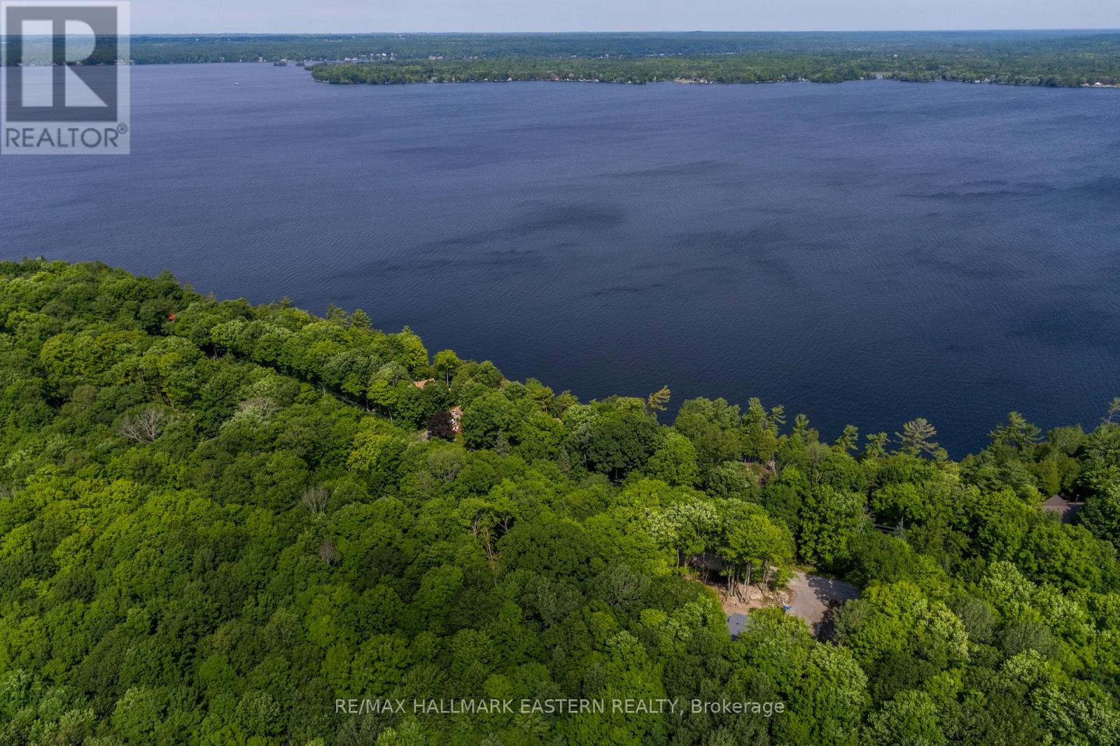 0 Teds Lane, Trent Lakes, Ontario  K0L 1J0 - Photo 21 - X12008415