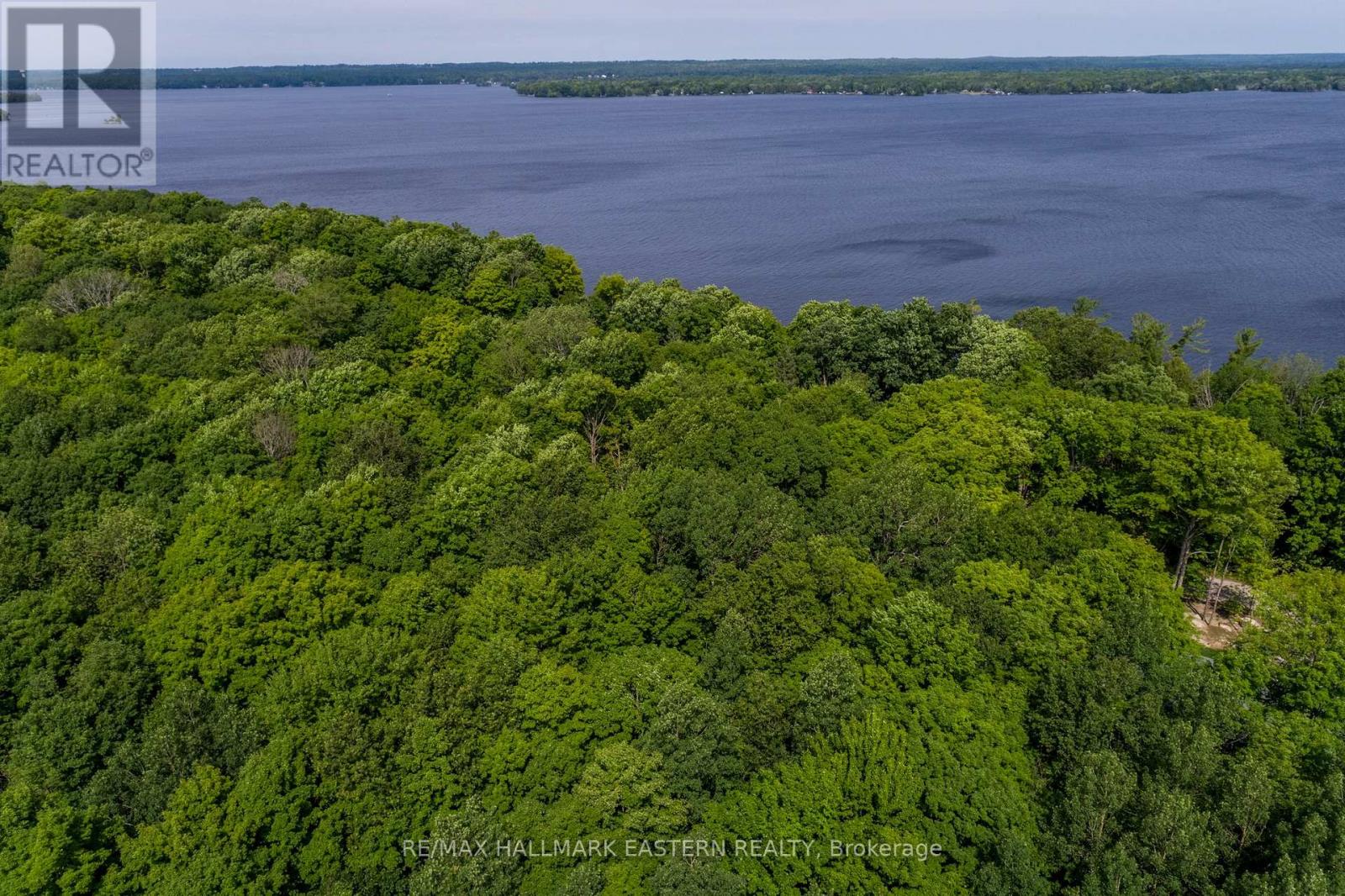 0 Teds Lane, Trent Lakes, Ontario  K0L 1J0 - Photo 25 - X12008415