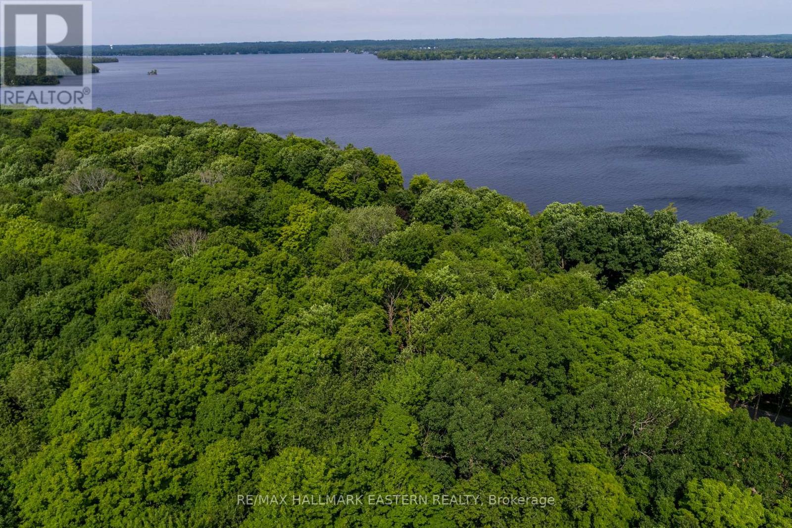 0 Teds Lane, Trent Lakes, Ontario  K0L 1J0 - Photo 26 - X12008415