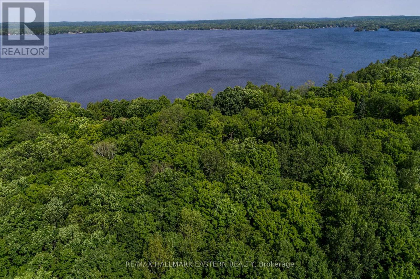 0 Teds Lane, Trent Lakes, Ontario  K0L 1J0 - Photo 27 - X12008415