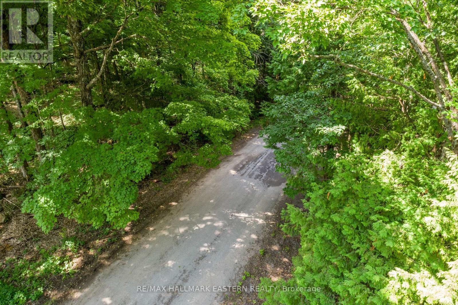 0 Teds Lane, Trent Lakes, Ontario  K0L 1J0 - Photo 28 - X12008415