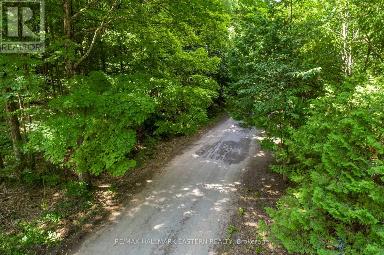 0 Teds Lane, Trent Lakes, Ontario  K0L 1J0 - Photo 29 - X12008415