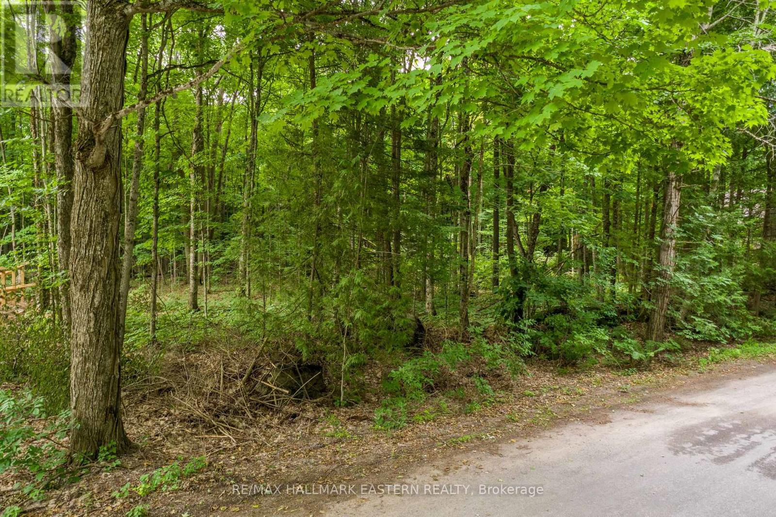 0 Teds Lane, Trent Lakes, Ontario  K0L 1J0 - Photo 3 - X12008415