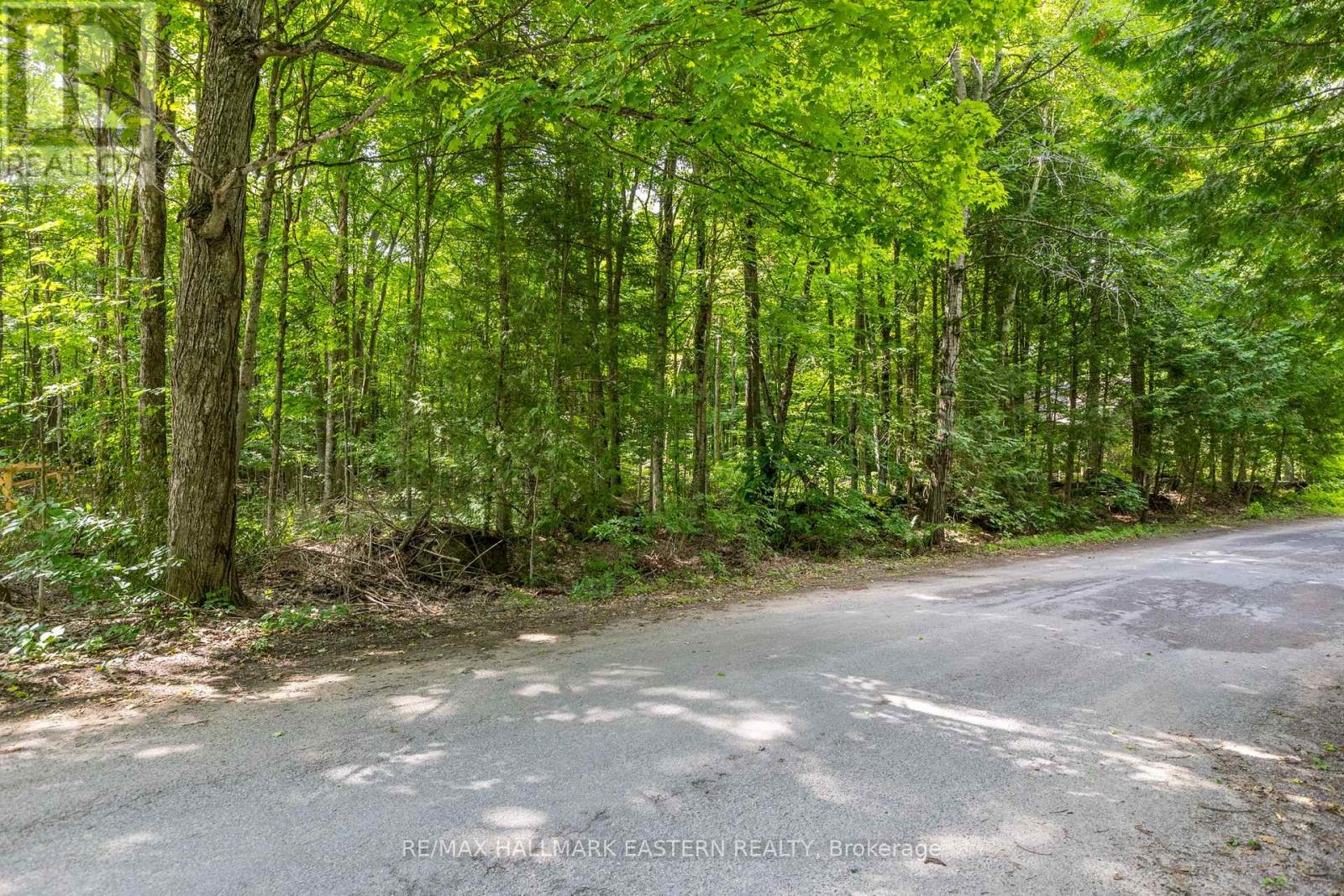 0 Teds Lane, Trent Lakes, Ontario  K0L 1J0 - Photo 30 - X12008415
