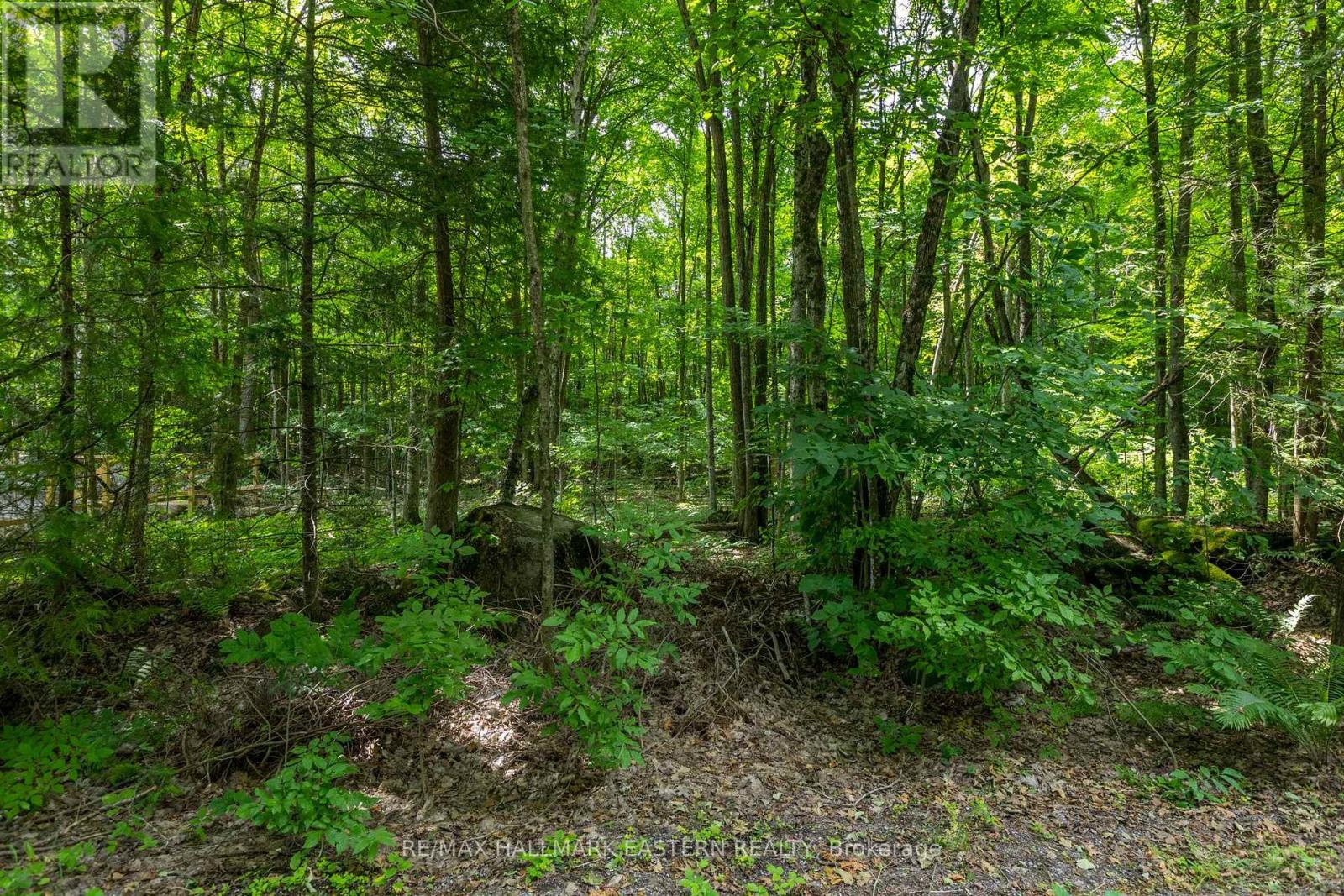 0 Teds Lane, Trent Lakes, Ontario  K0L 1J0 - Photo 31 - X12008415