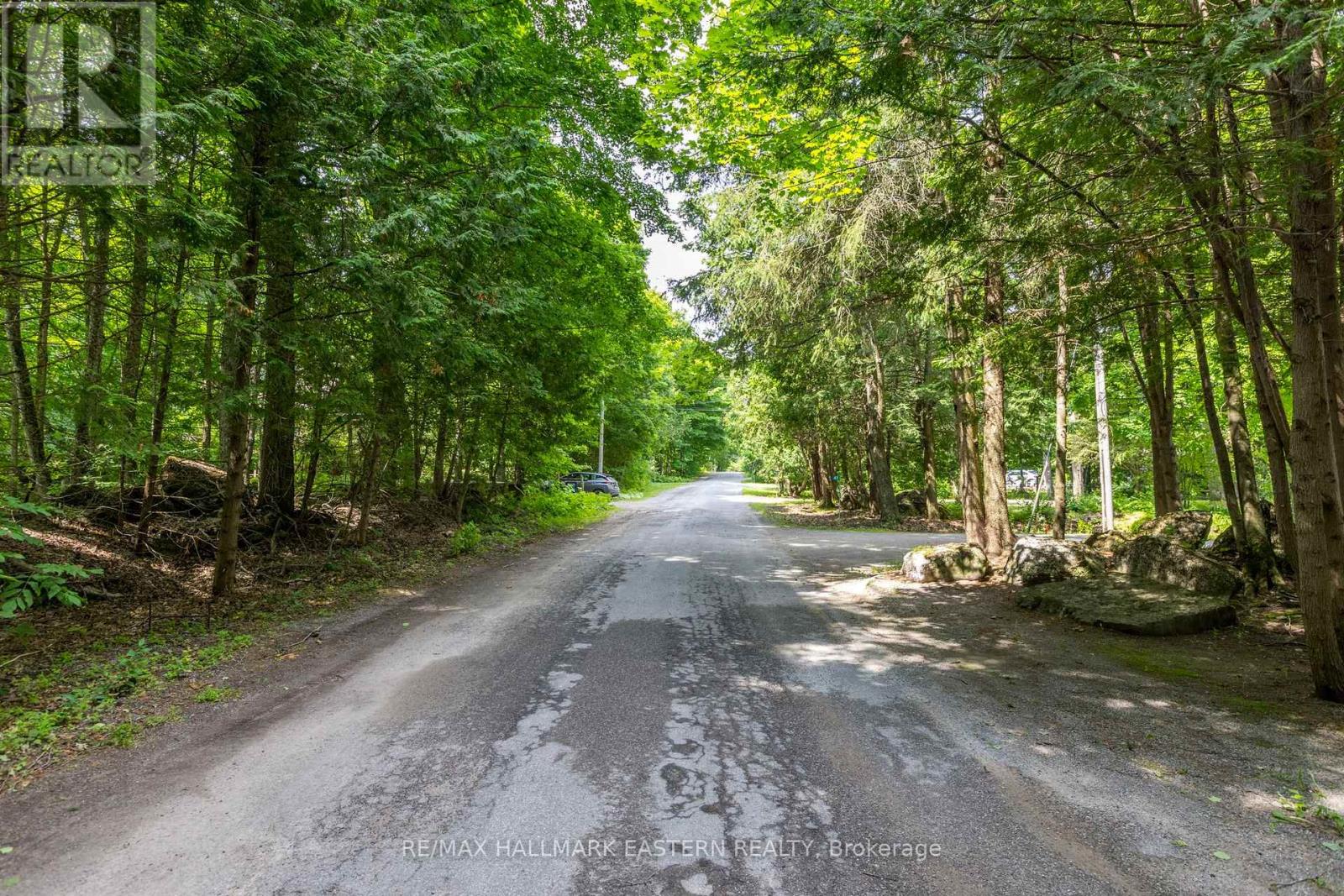 0 Teds Lane, Trent Lakes, Ontario  K0L 1J0 - Photo 34 - X12008415