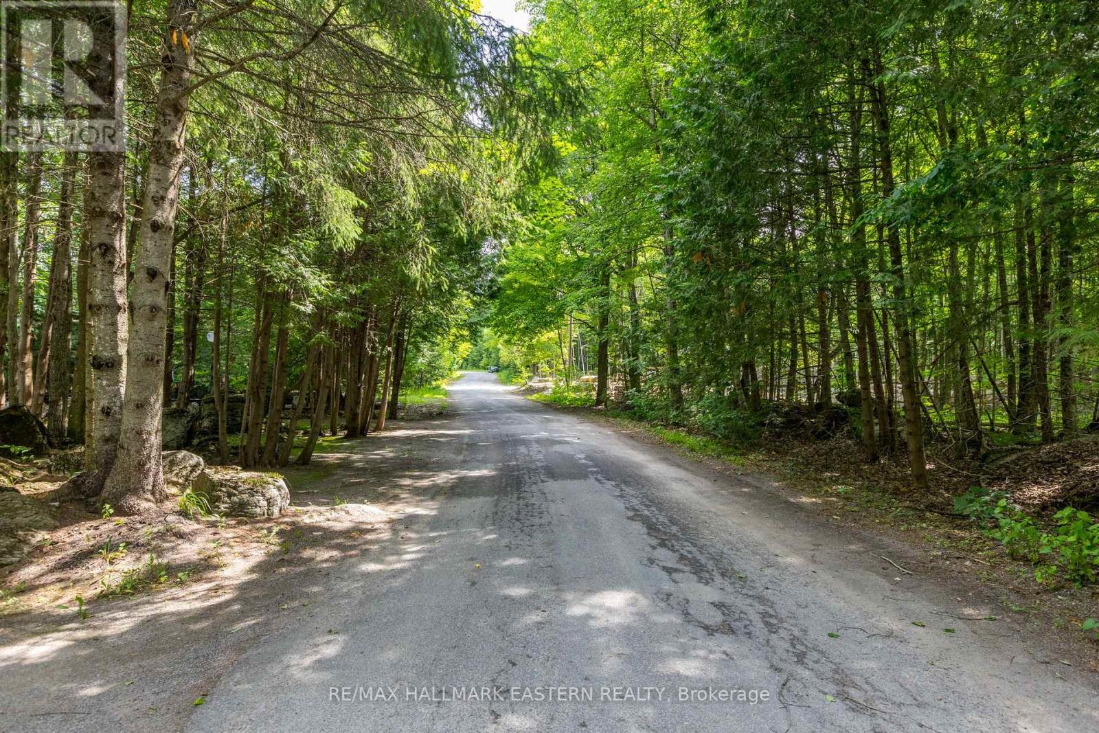 0 Teds Lane, Trent Lakes, Ontario  K0L 1J0 - Photo 35 - X12008415