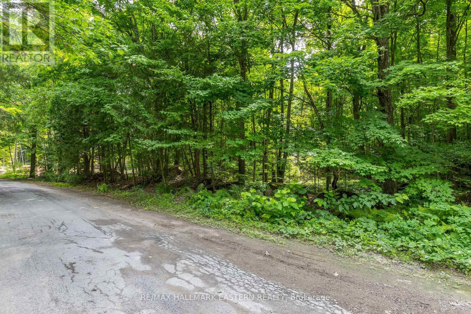 0 Teds Lane, Trent Lakes, Ontario  K0L 1J0 - Photo 36 - X12008415