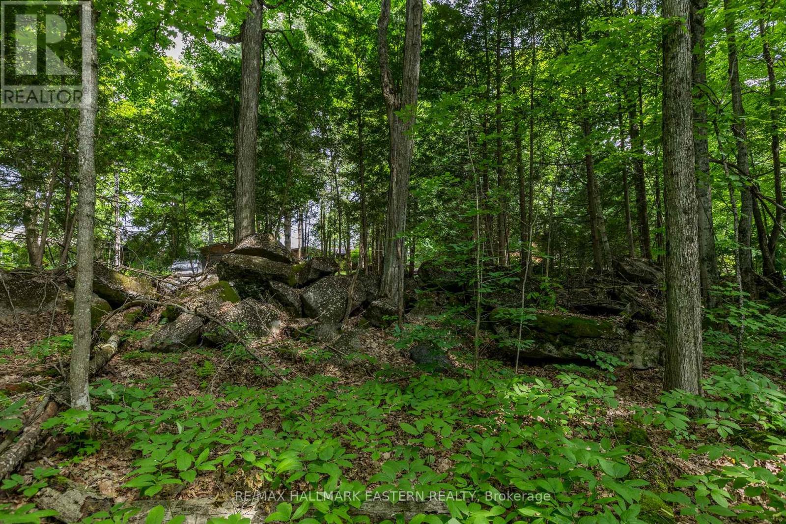 0 Teds Lane, Trent Lakes, Ontario  K0L 1J0 - Photo 39 - X12008415