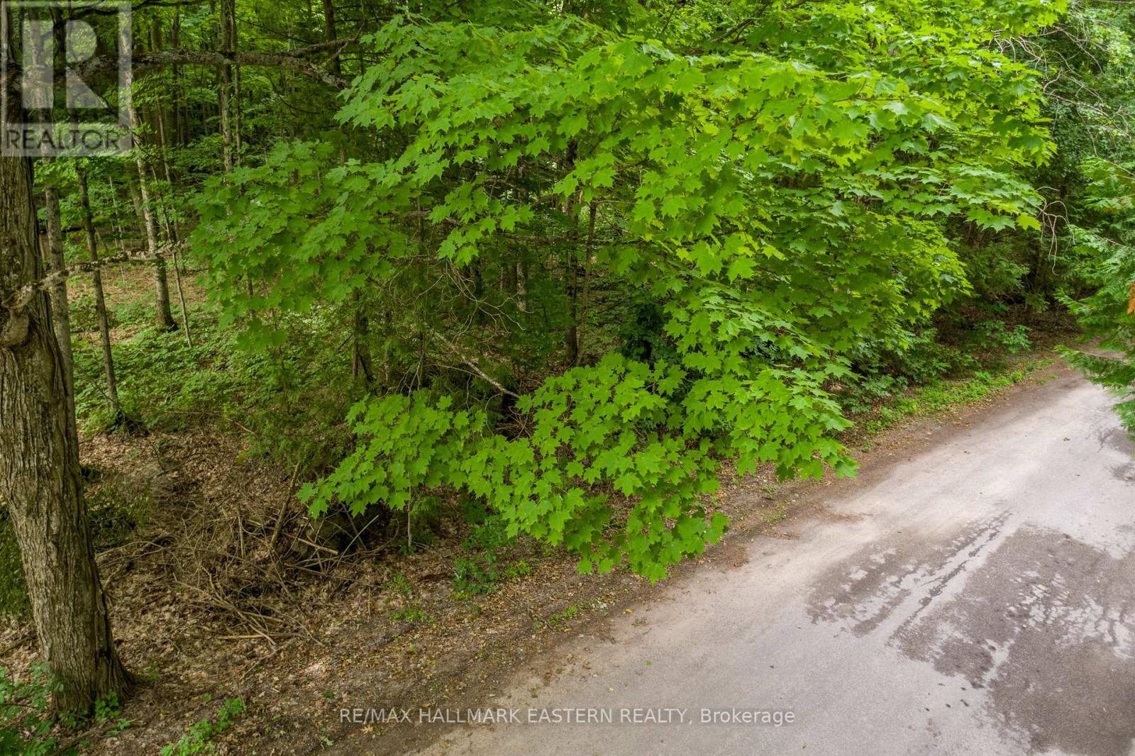 0 Teds Lane, Trent Lakes, Ontario  K0L 1J0 - Photo 4 - X12008415