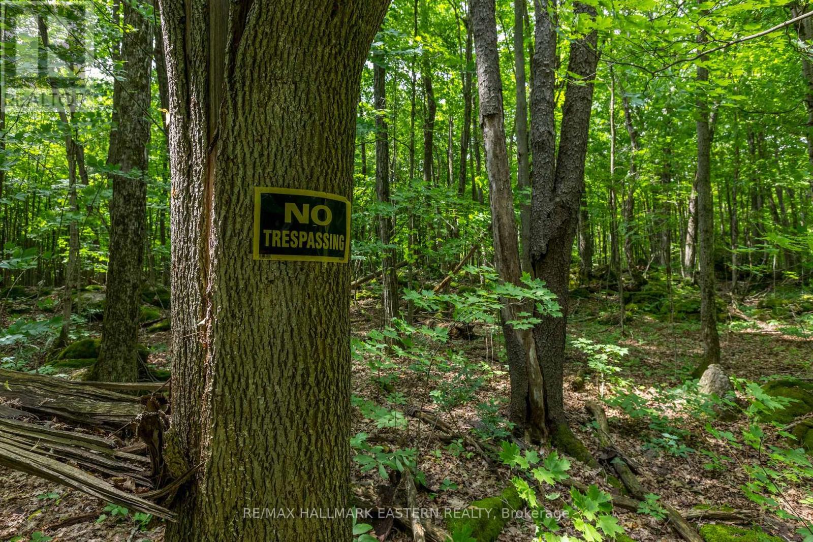 0 Teds Lane, Trent Lakes, Ontario  K0L 1J0 - Photo 40 - X12008415