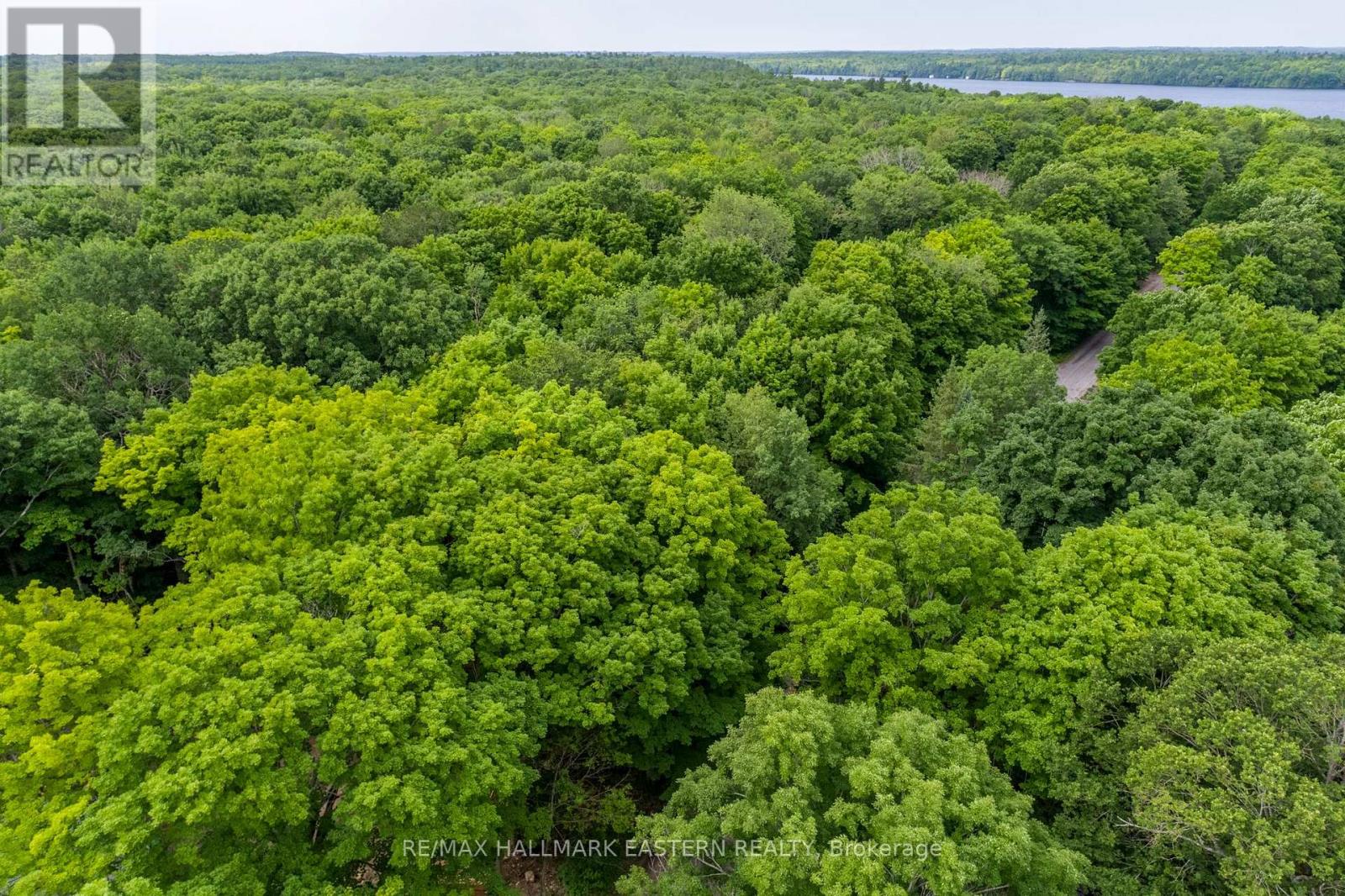 0 Teds Lane, Trent Lakes, Ontario  K0L 1J0 - Photo 7 - X12008415