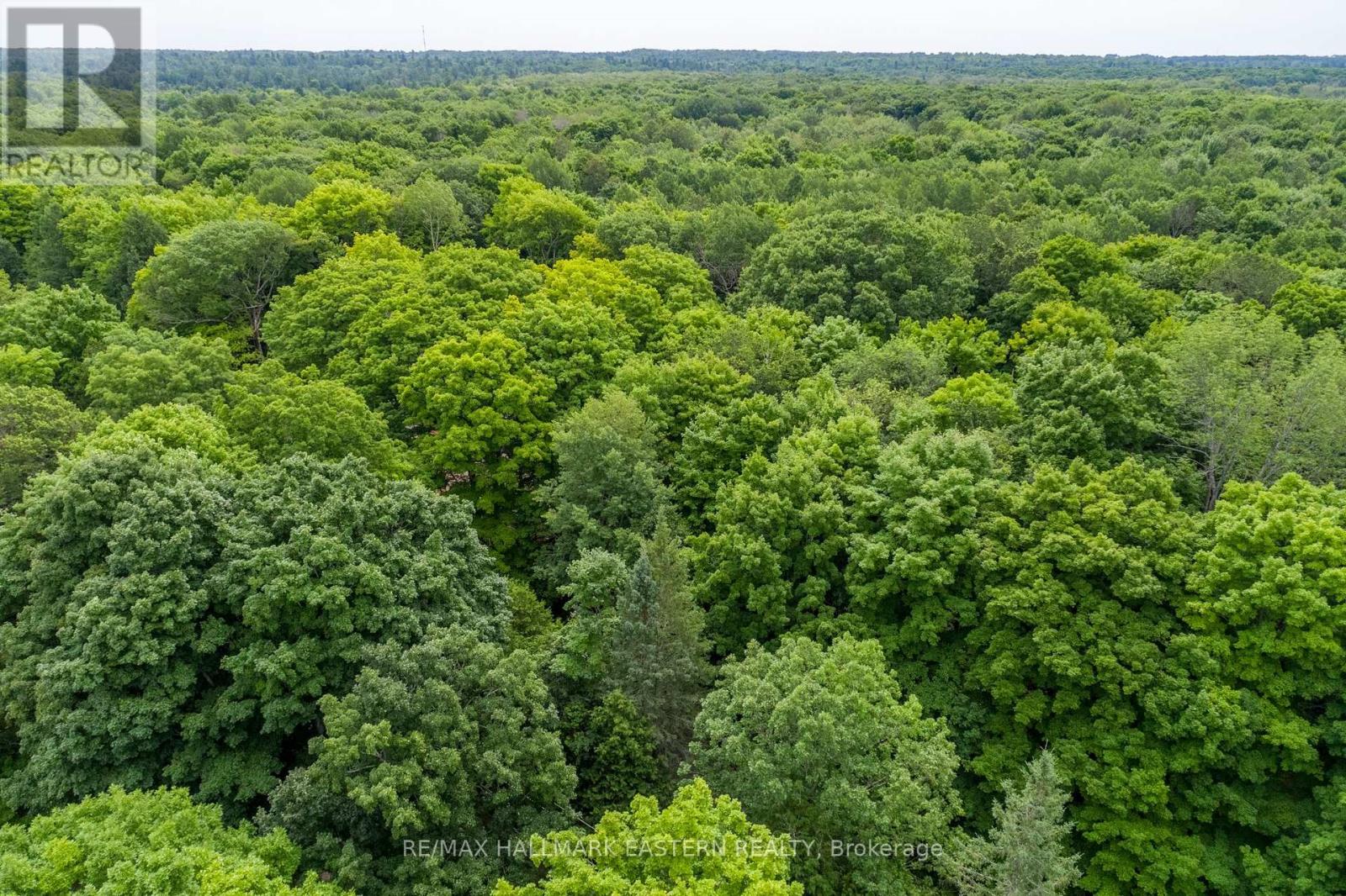 0 Teds Lane, Trent Lakes, Ontario  K0L 1J0 - Photo 8 - X12008415