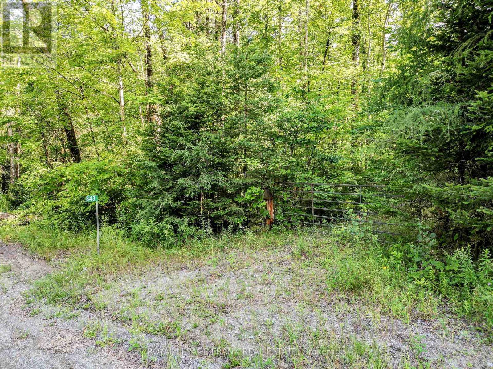 843 Lasswade Road, North Kawartha, Ontario  K0L 1A0 - Photo 16 - X12008493
