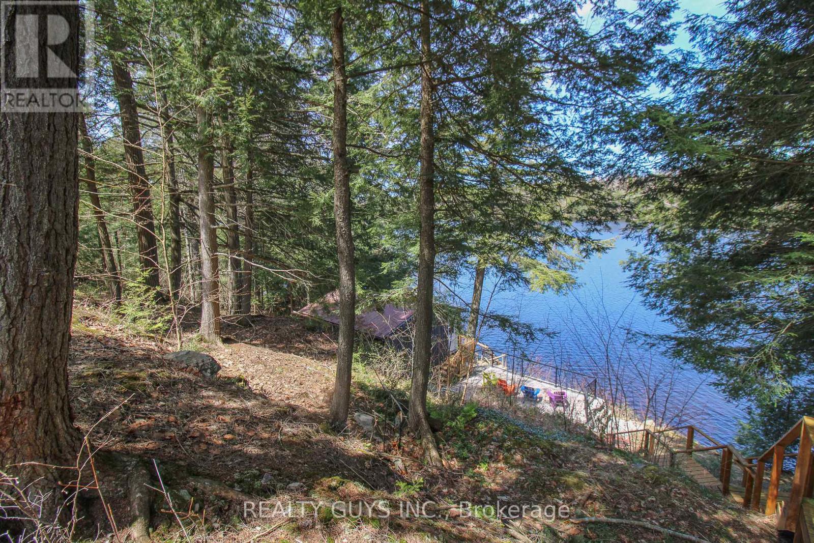 959 Beaver Lake Road, Trent Lakes, Ontario  K0L 1J0 - Photo 47 - X12010886