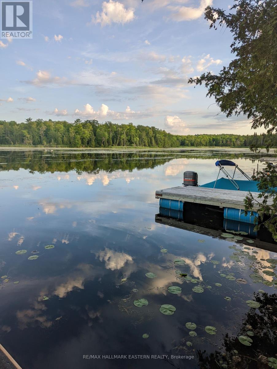 70 Sumcot Drive, Trent Lakes, Ontario  K0L 1J0 - Photo 44 - X12012915