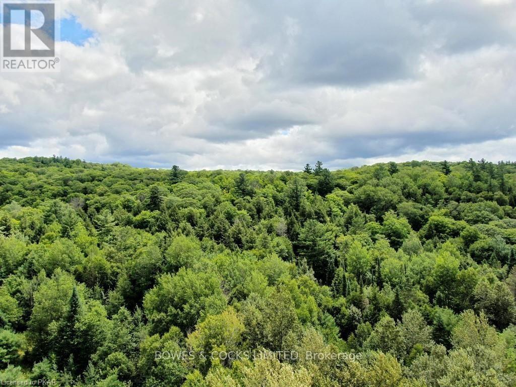 114 Moore Lane, Bancroft (Dungannon Ward), Ontario  K0L 1C0 - Photo 12 - X12019577