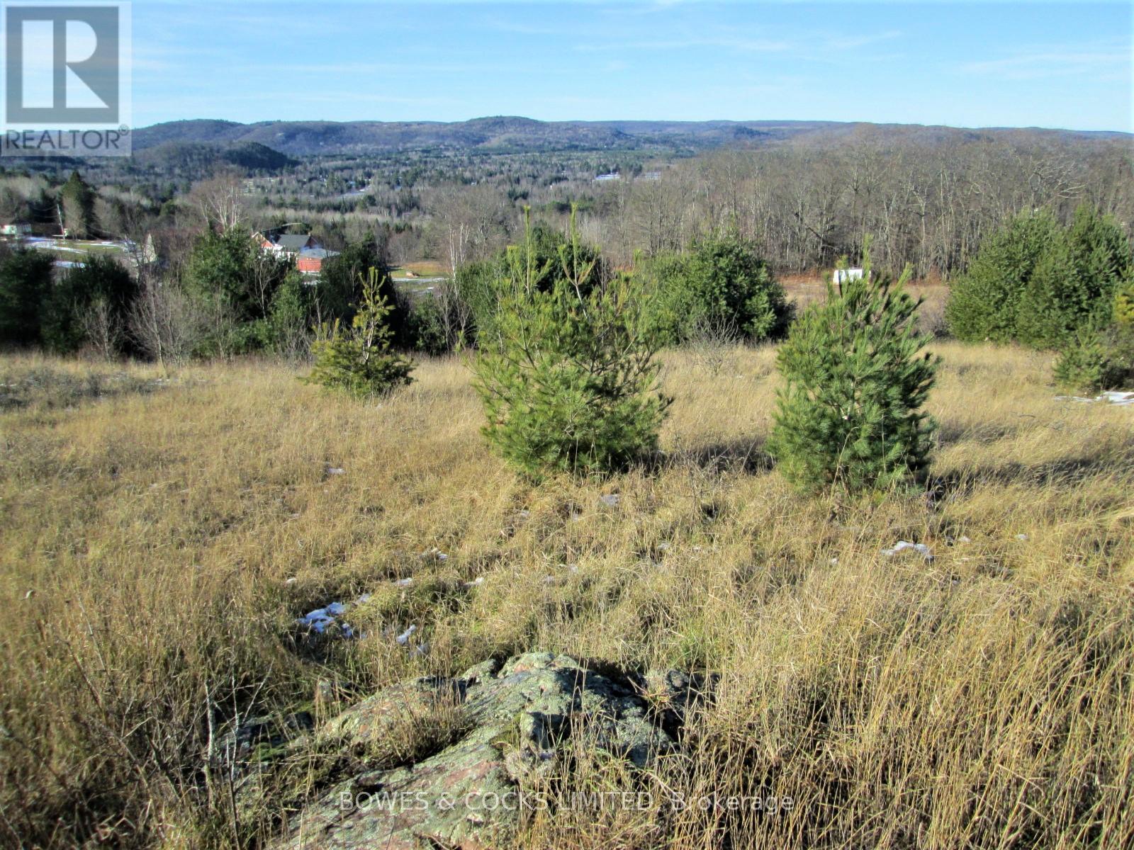 114 Moore Lane, Bancroft (Dungannon Ward), Ontario  K0L 1C0 - Photo 29 - X12019577