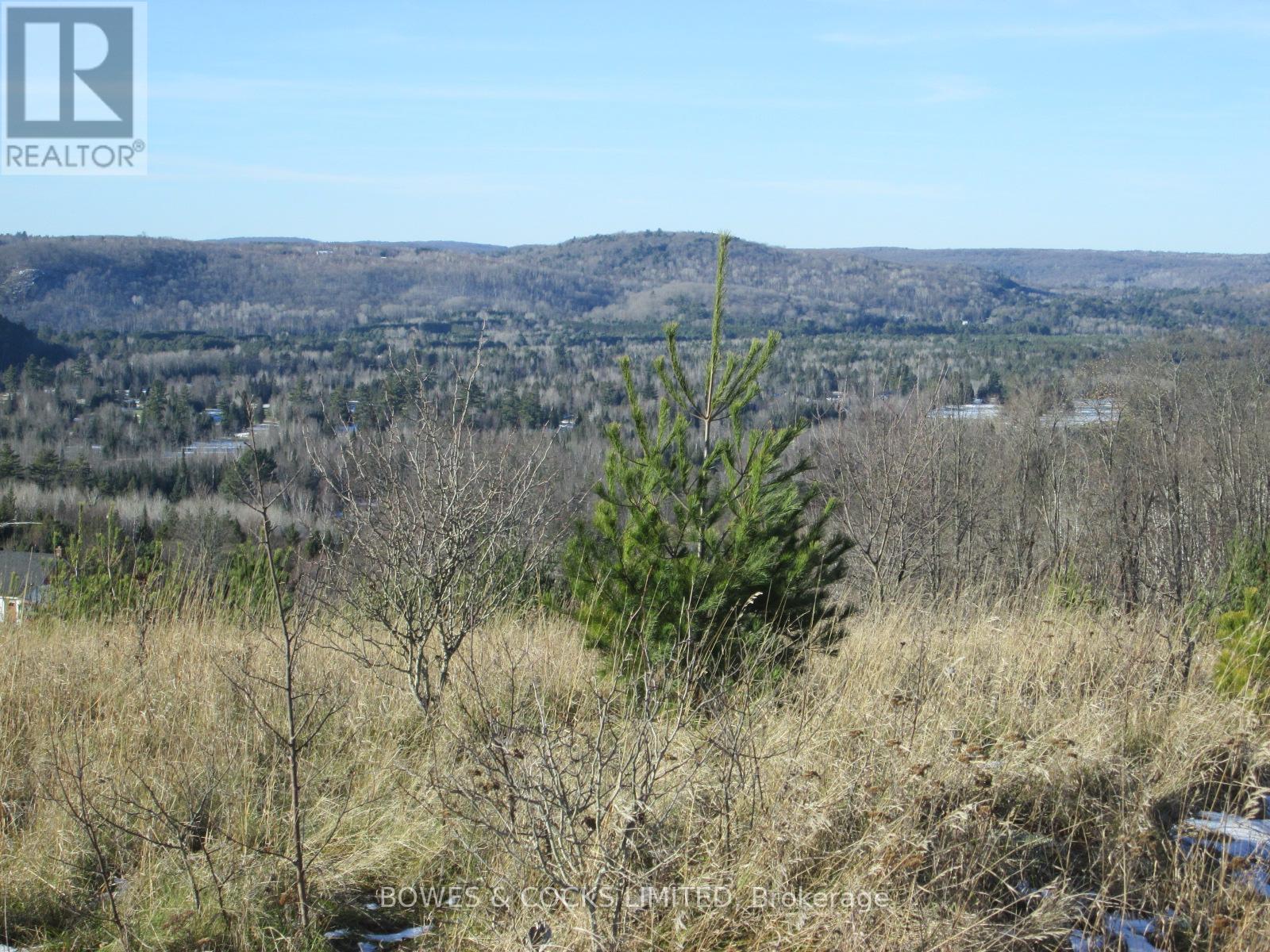 114 Moore Lane, Bancroft (Dungannon Ward), Ontario  K0L 1C0 - Photo 30 - X12019577