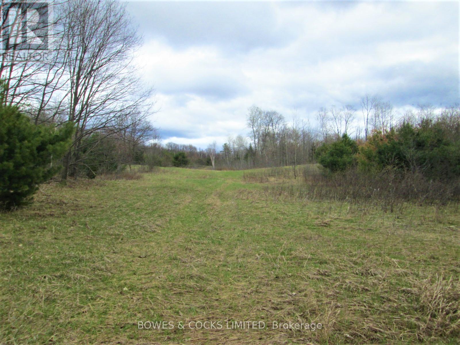 114 Moore Lane, Bancroft (Dungannon Ward), Ontario  K0L 1C0 - Photo 35 - X12019577