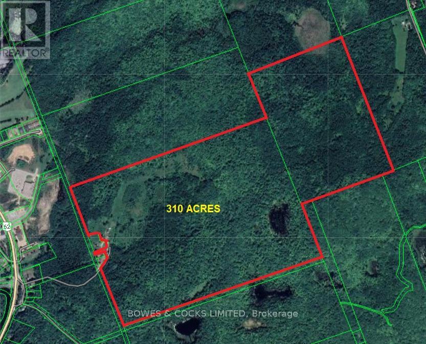 114 Moore Lane, Bancroft (Dungannon Ward), Ontario  K0L 1C0 - Photo 40 - X12019577