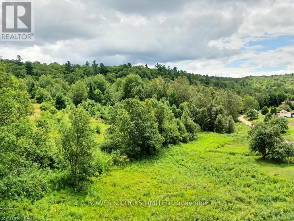 114 Moore Lane, Bancroft (Dungannon Ward), Ontario  K0L 1C0 - Photo 6 - X12019577