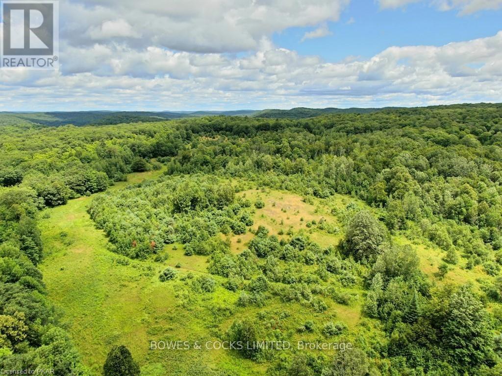 114 Moore Lane, Bancroft (Dungannon Ward), Ontario  K0L 1C0 - Photo 8 - X12019577