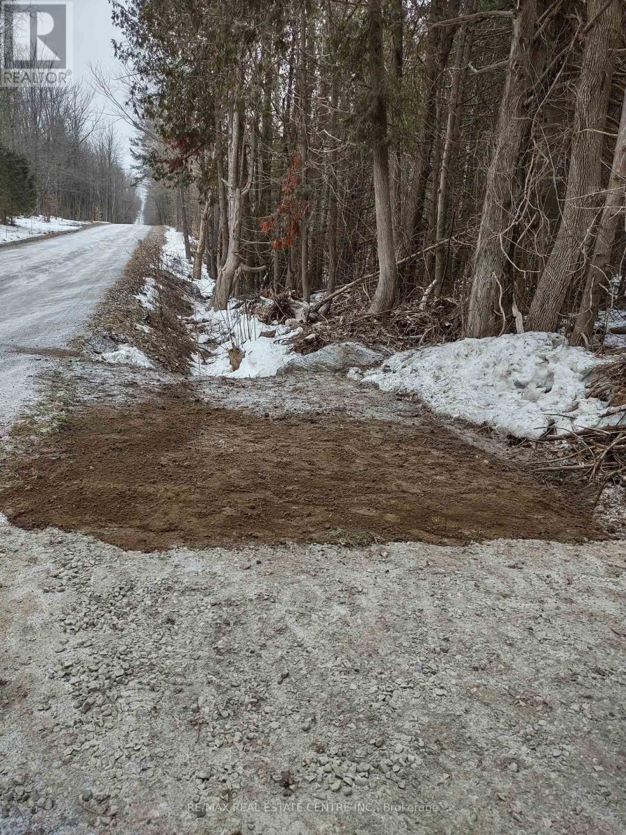 Conc 22 Pt Lot 12, Highlands East (Monmouth), Ontario  K0L 3C0 - Photo 3 - X12024625