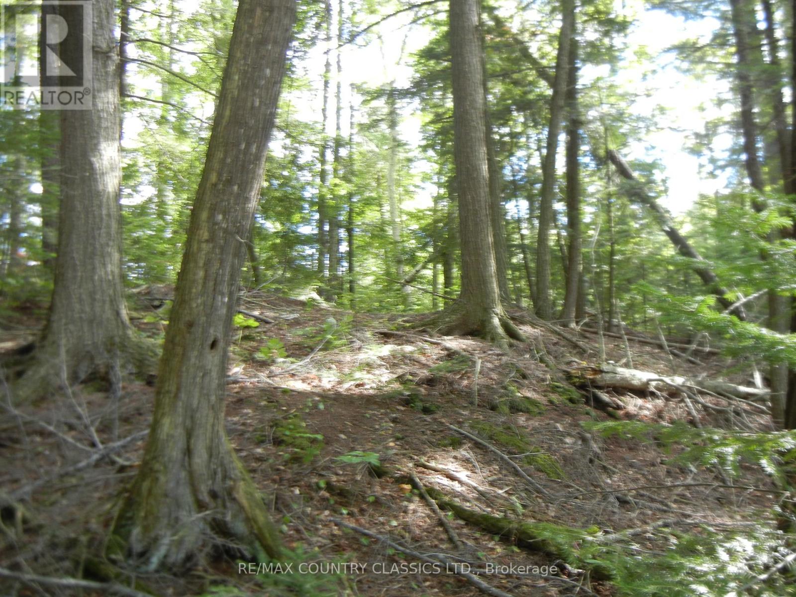 0 Glen Alda Road, North Kawartha, Ontario  K0L 1A0 - Photo 1 - X12025312