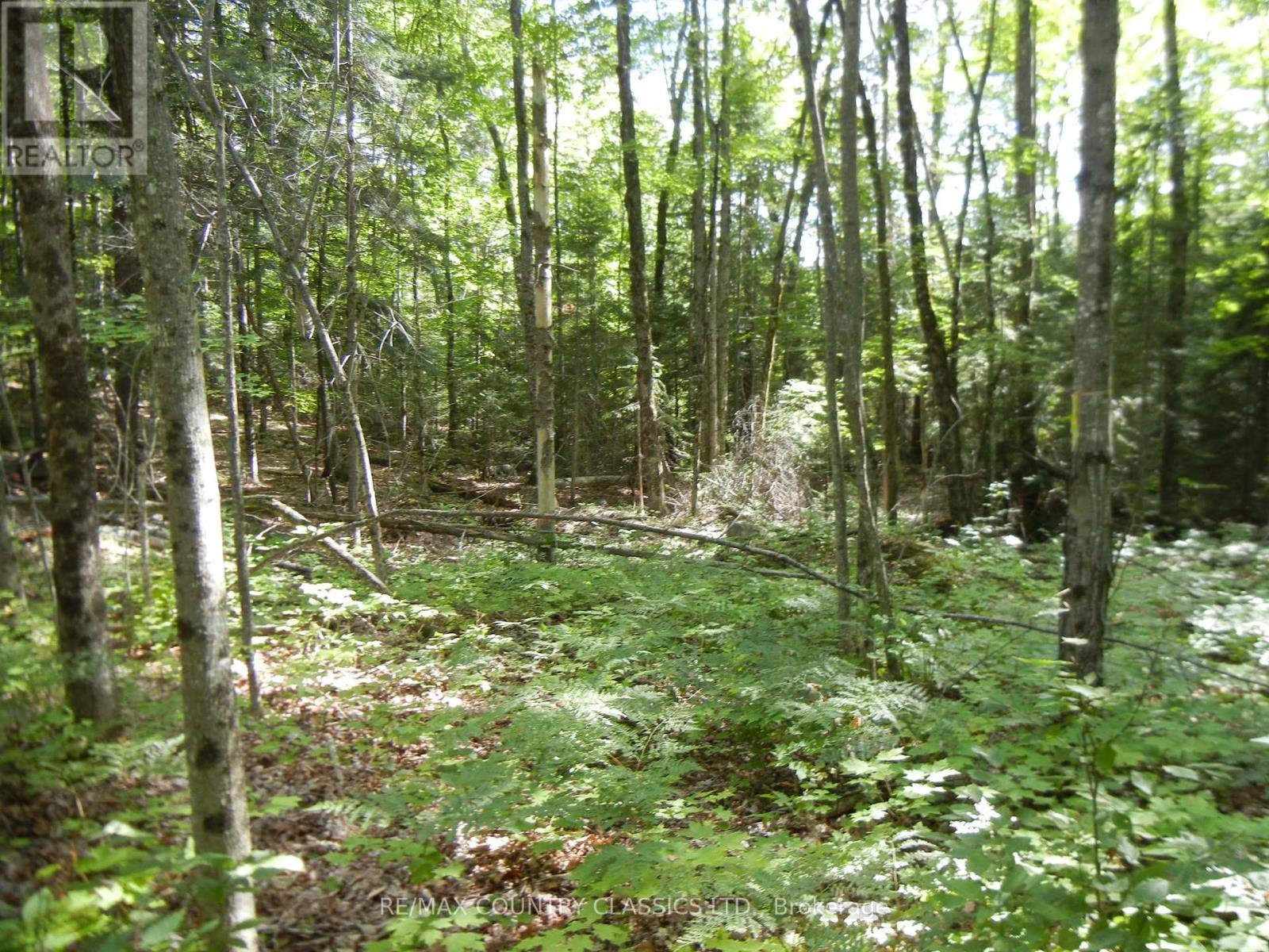 0 Glen Alda Road, North Kawartha, Ontario  K0L 1A0 - Photo 2 - X12025312