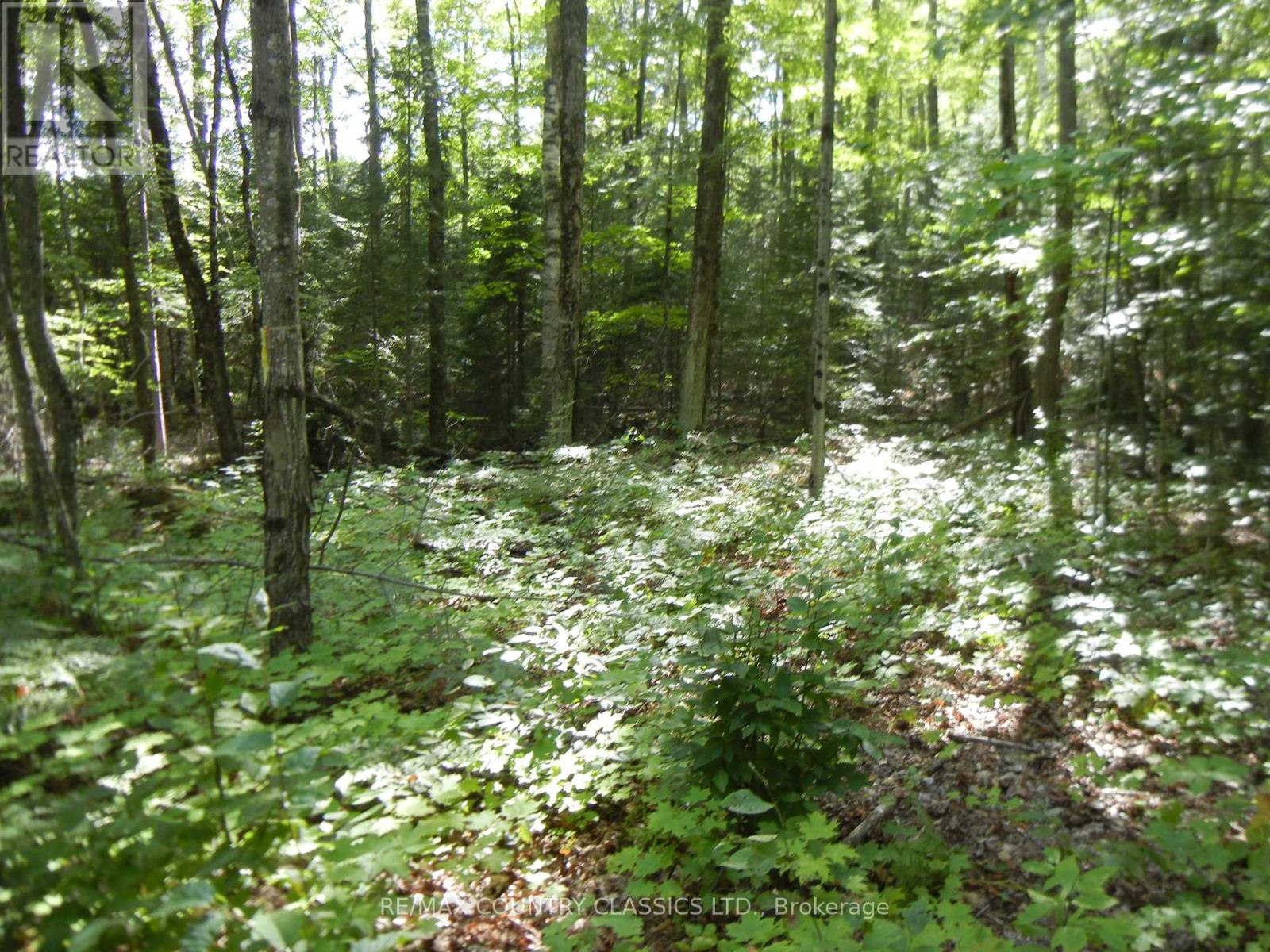 0 Glen Alda Road, North Kawartha, Ontario  K0L 1A0 - Photo 3 - X12025312