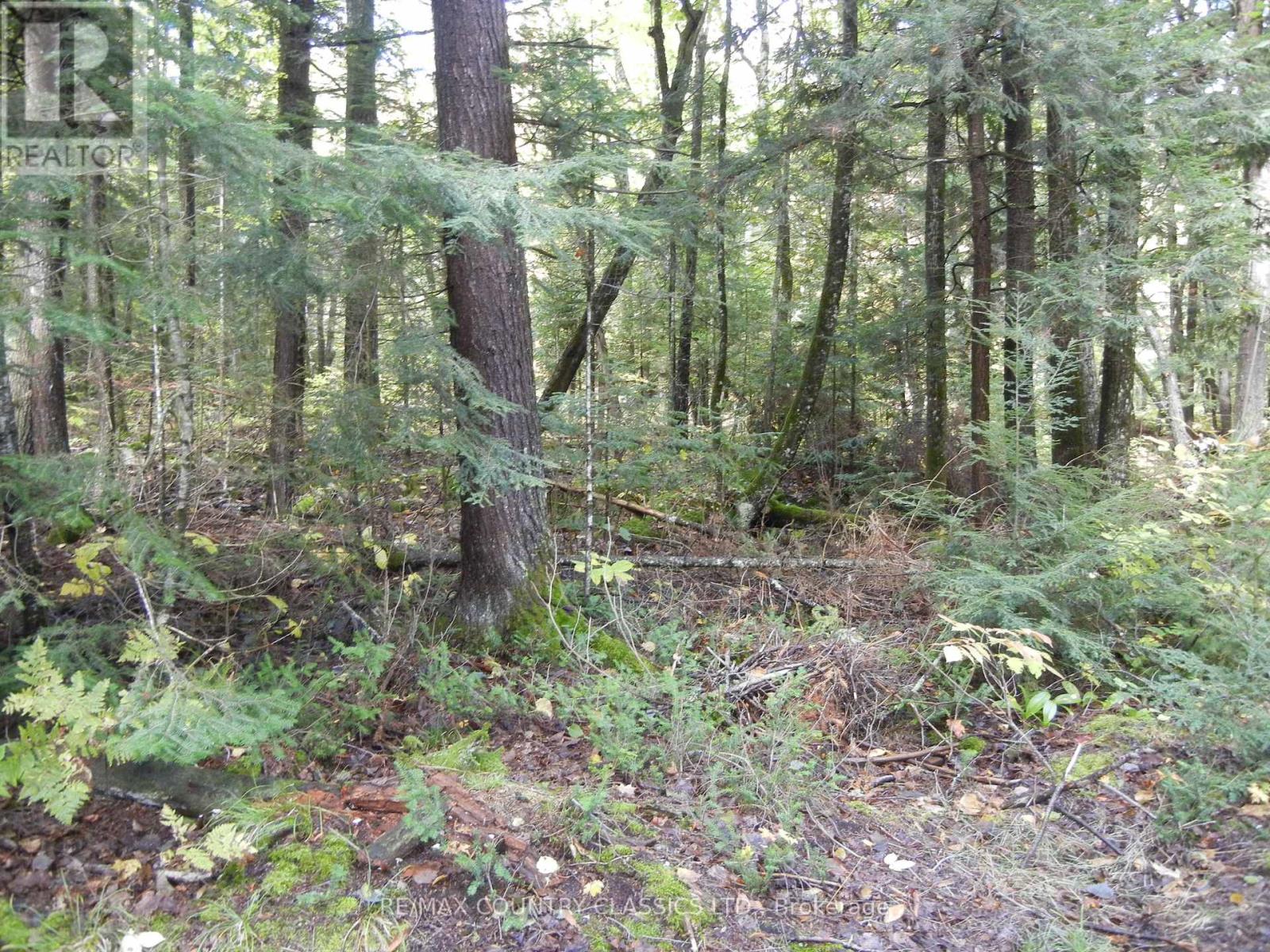 0 Glen Alda Road, North Kawartha, Ontario  K0L 1A0 - Photo 5 - X12025312