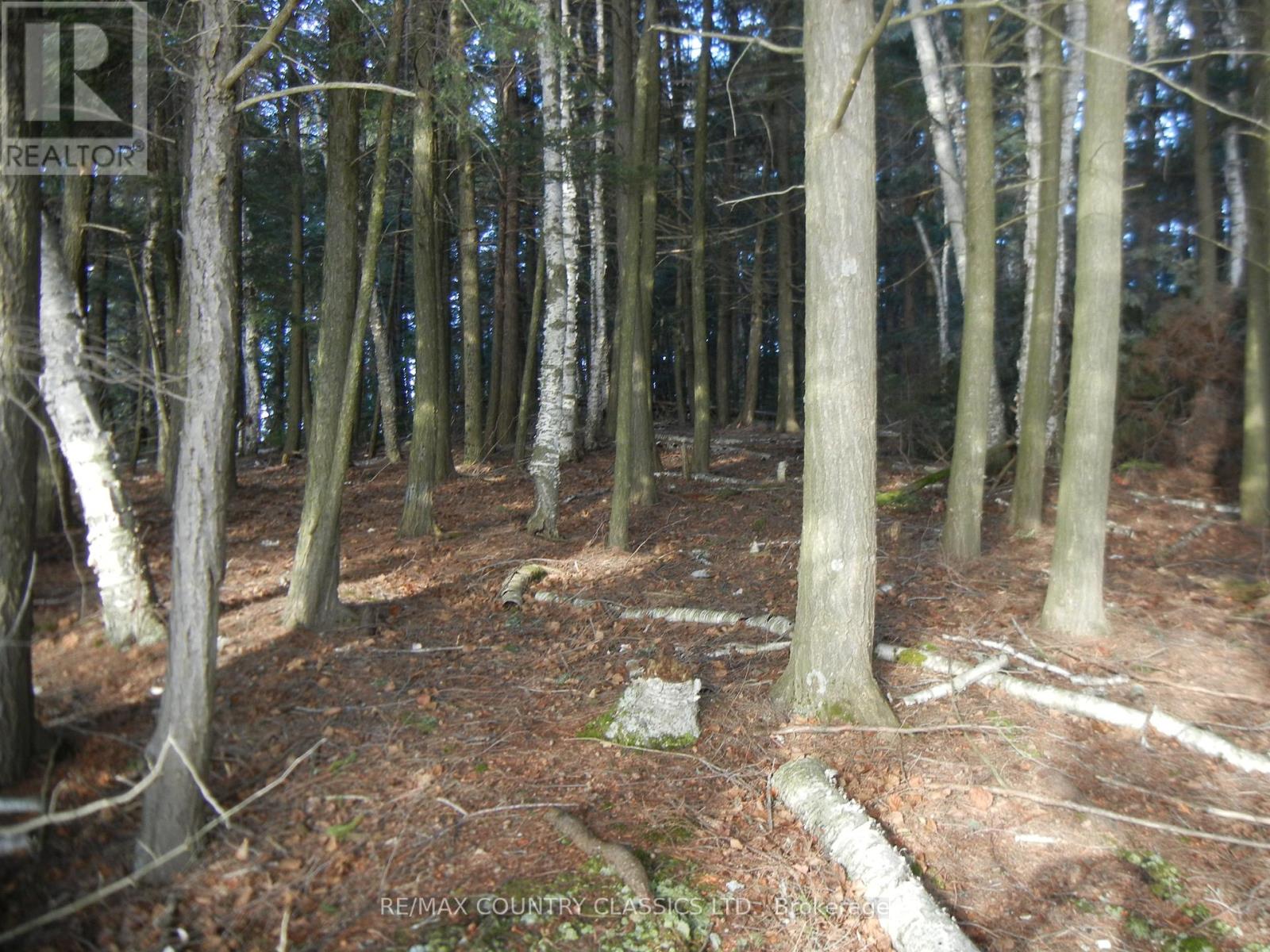 0 Knox Point Road, North Kawartha, Ontario  K0L 1A0 - Photo 2 - X12025420