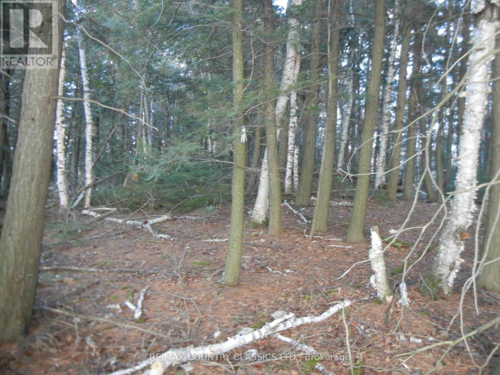 0 Knox Point Road, North Kawartha, Ontario  K0L 1A0 - Photo 3 - X12025420