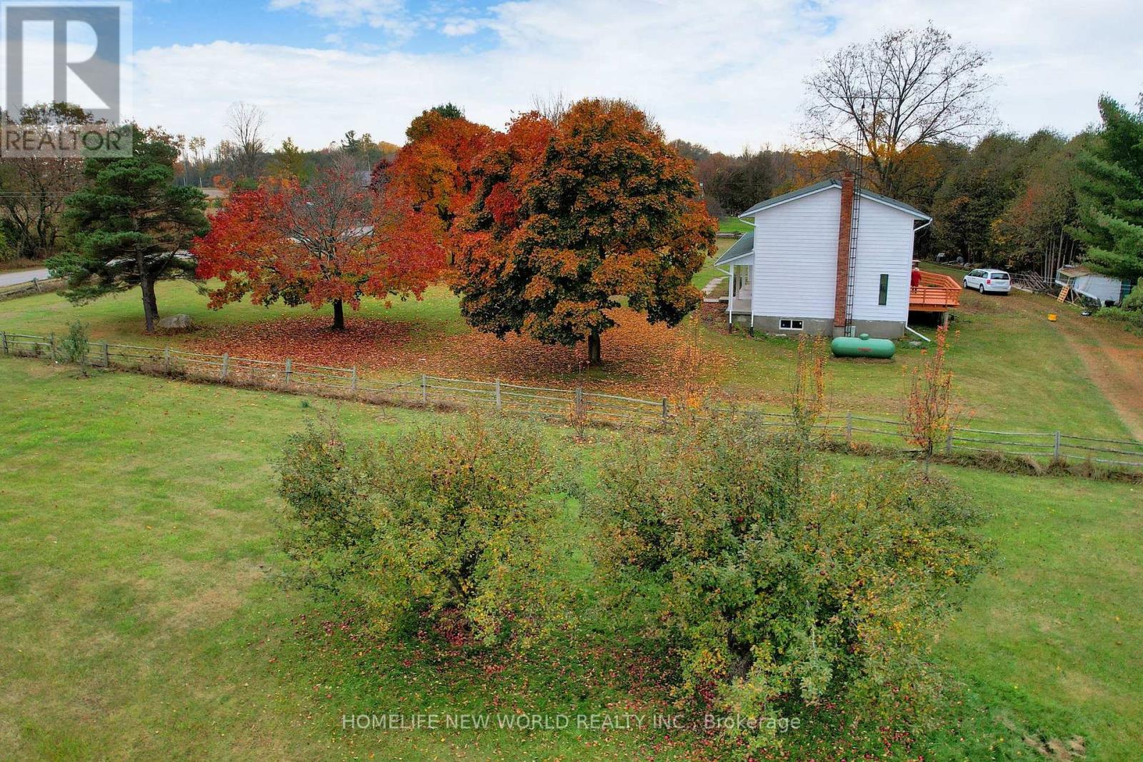 3025 Moffat Road, Clarington, Ontario  L1B 0S3 - Photo 10 - E12027665