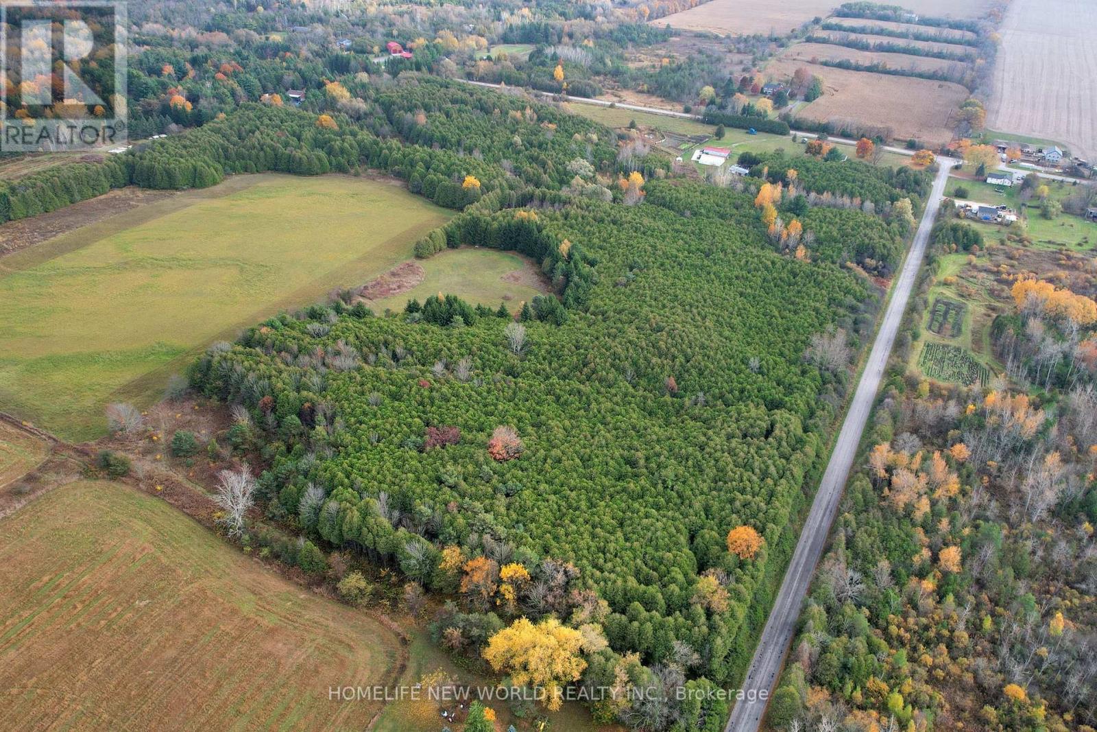3025 Moffat Road, Clarington, Ontario  L1B 0S3 - Photo 6 - E12027665