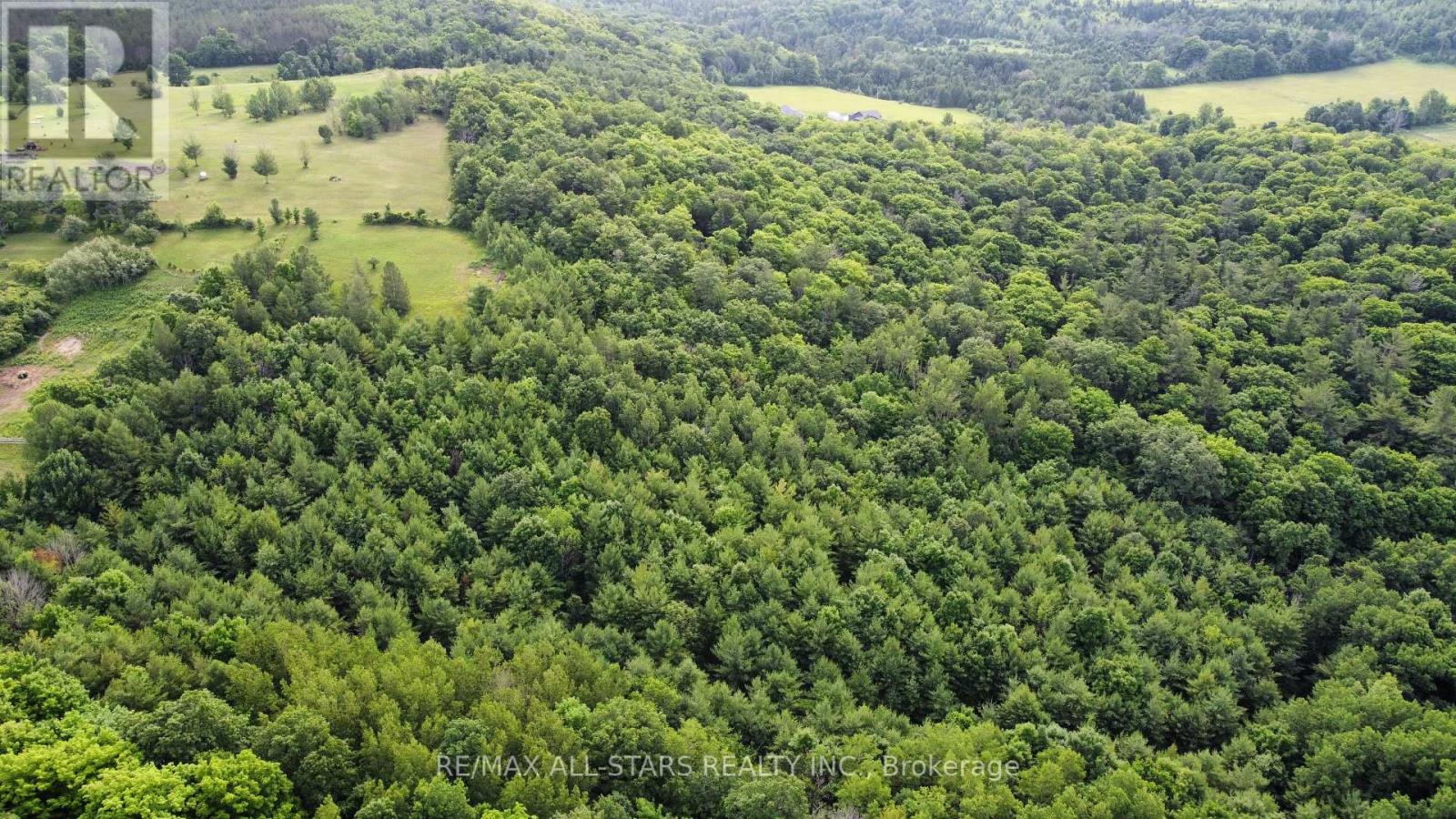 283 Bland Line, Cavan Monaghan (Cavan Twp), Ontario  L0A 1C0 - Photo 11 - X12028861